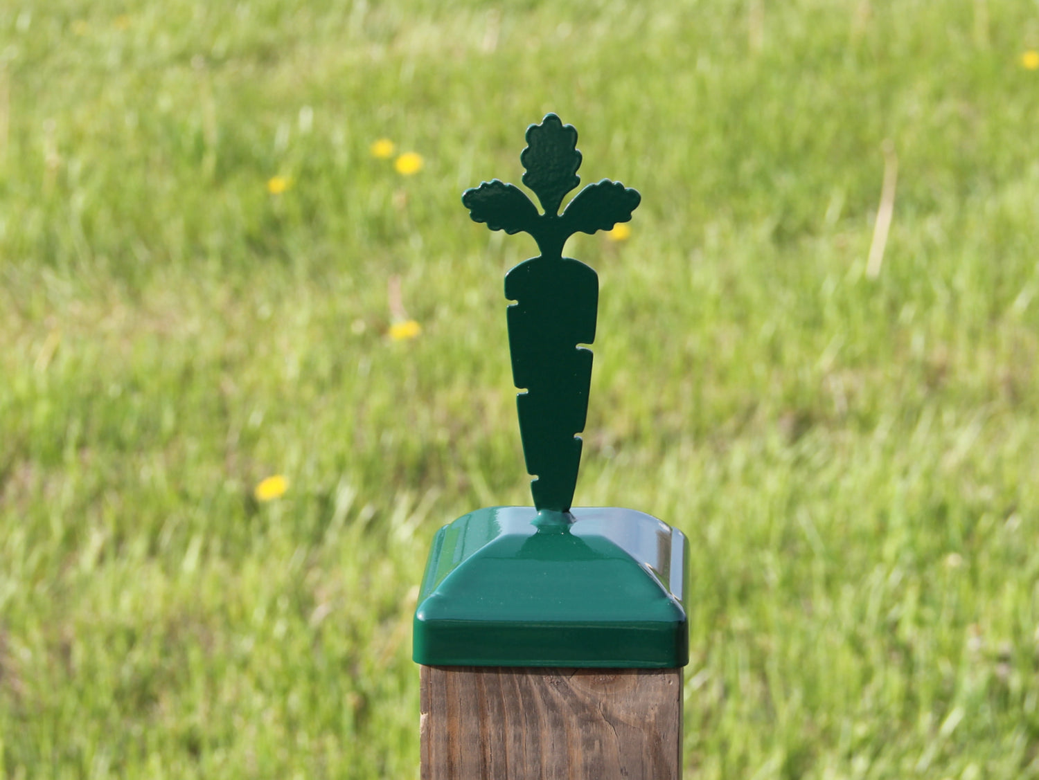 True Size 6x6 Post Cap with Plants and Insects Finial Choice - Madison Iron and Wood