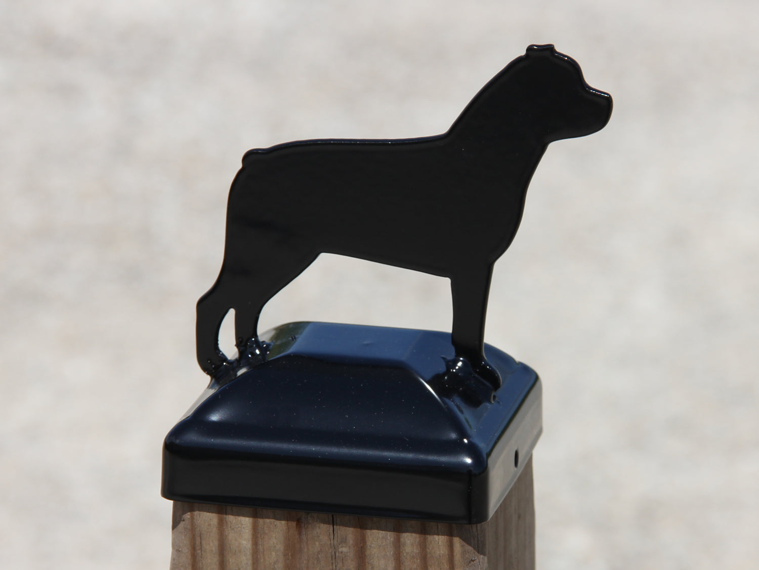True Size 6x6 Post Cap with Dog or Cat Finial Choice - Madison Iron and Wood