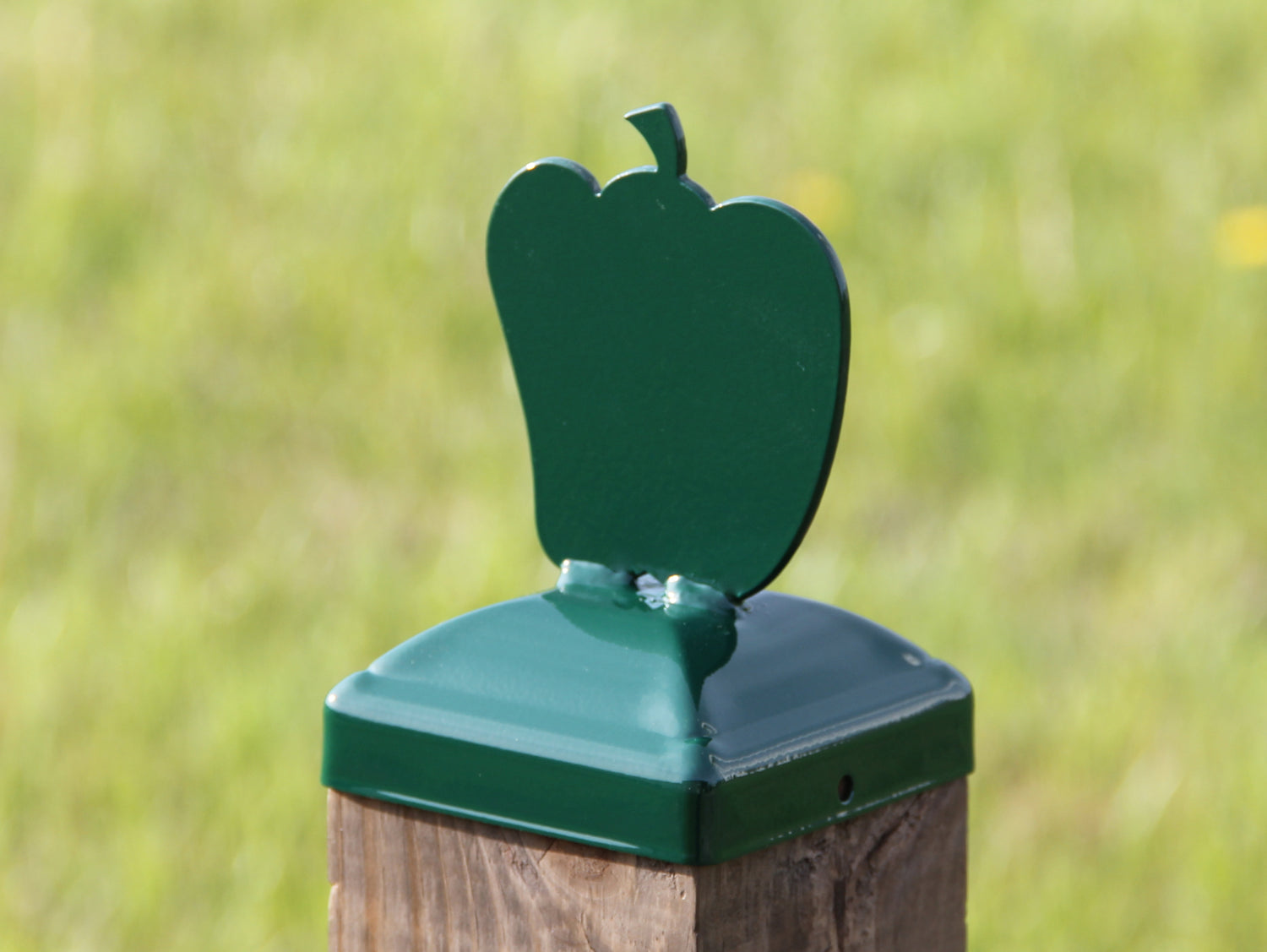 True Size 6x6 Post Cap with Plants and Insects Finial Choice - Madison Iron and Wood