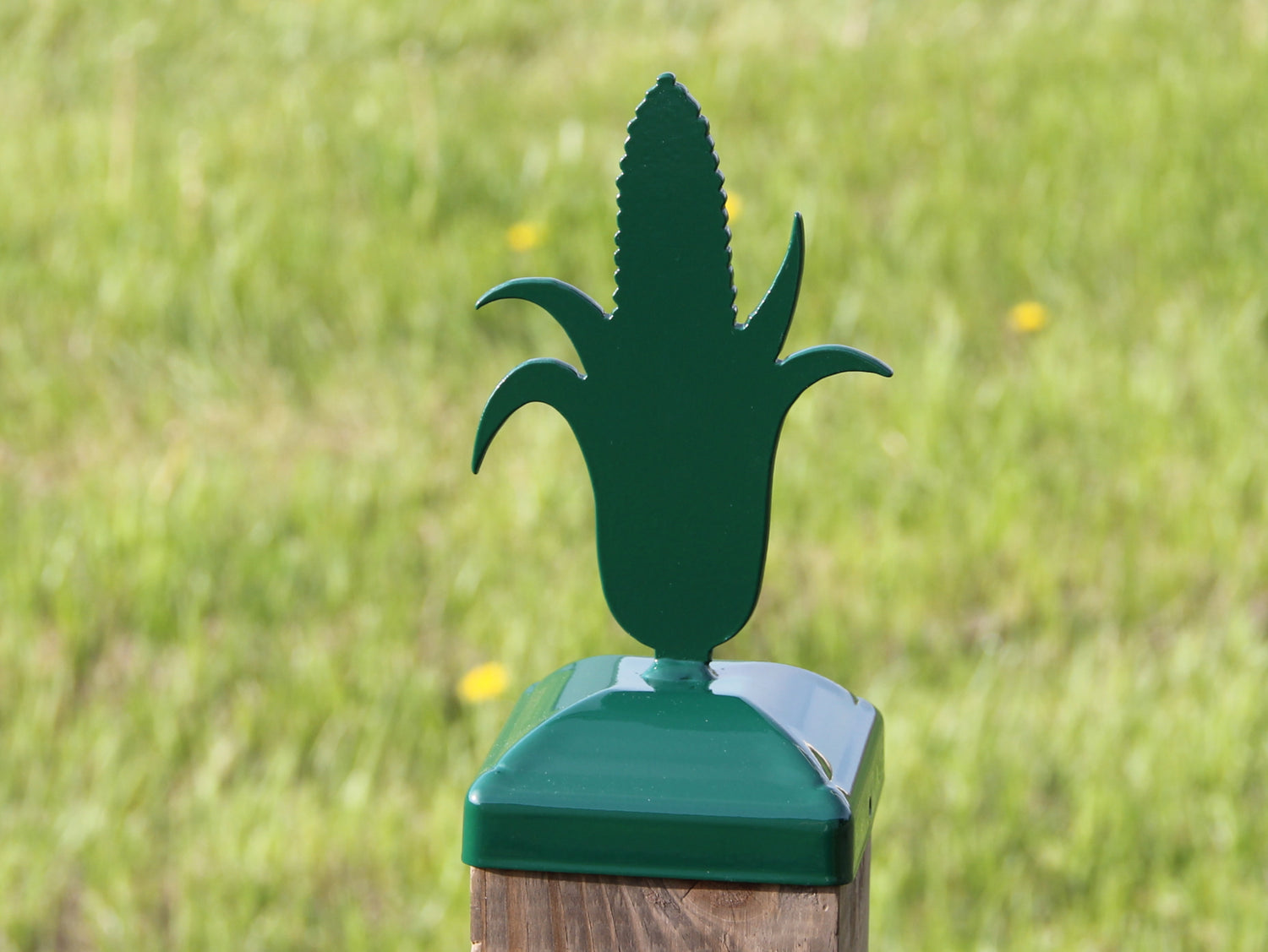 True Size 6x6 Post Cap with Plants and Insects Finial Choice - Madison Iron and Wood