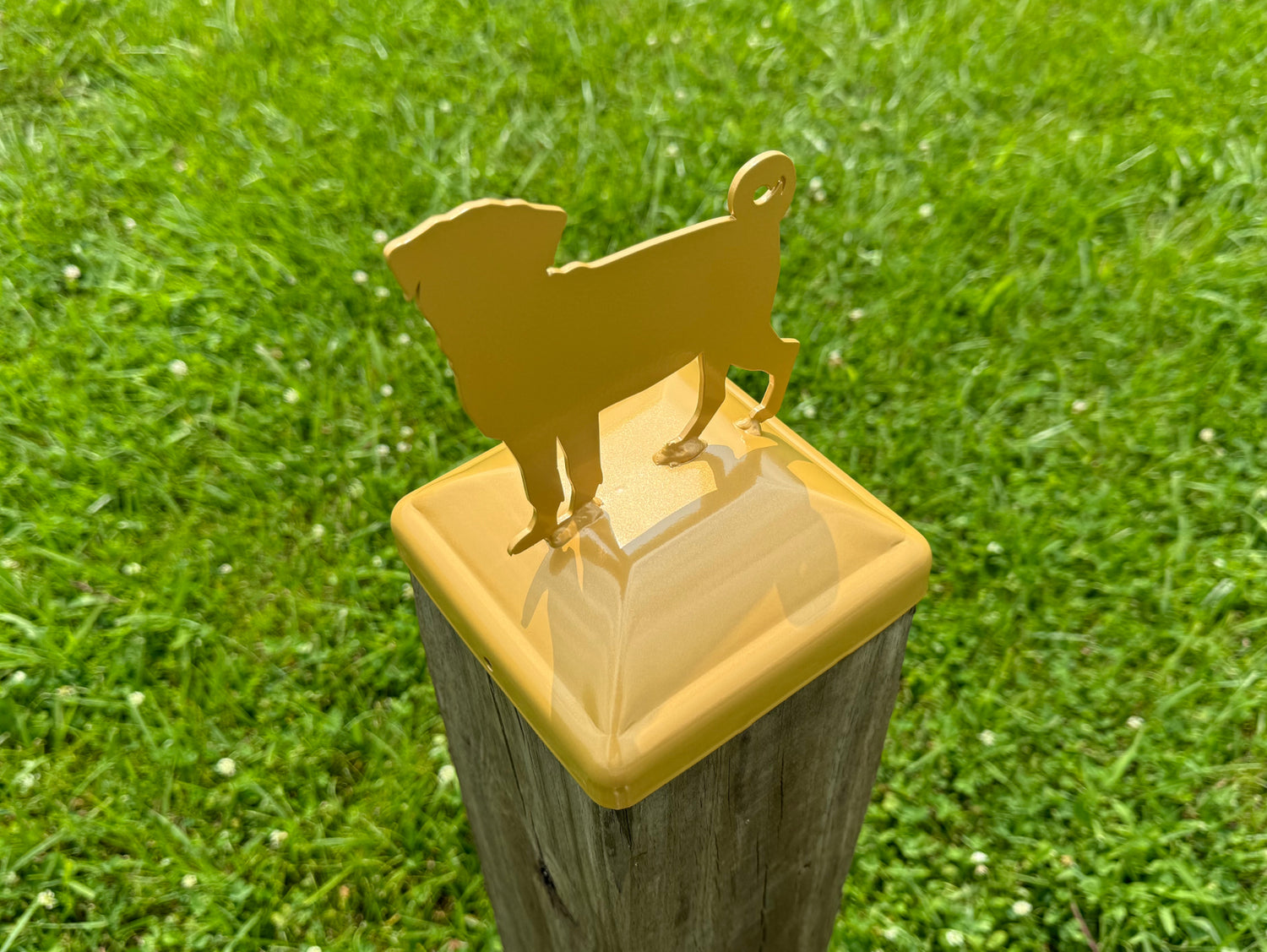 6X6 Pug Post Cap (5.5 x 5.5 Post Size) - Madison Iron and Wood
