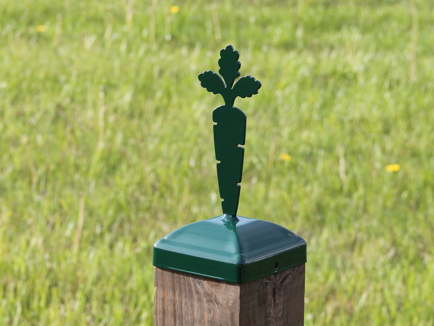 Madison Iron and wood – Metal Décor – Home Improvement – Home décor – Post Caps – Outdoor Décor