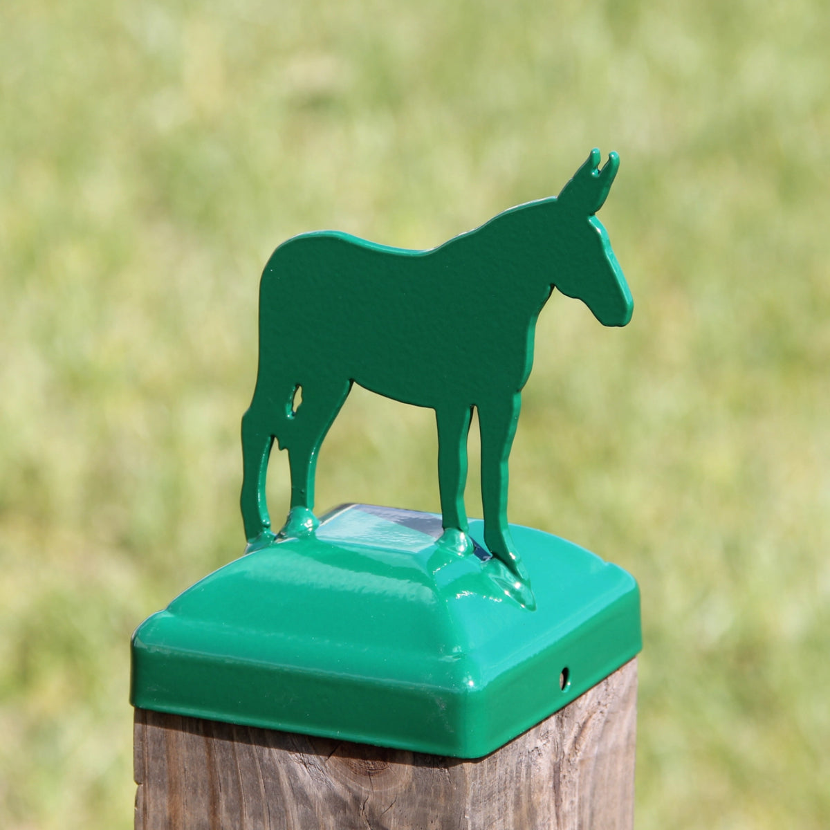 6X6 Donkey Post Cap (Fits 5.5 x 5.5 Post Size) | Madison