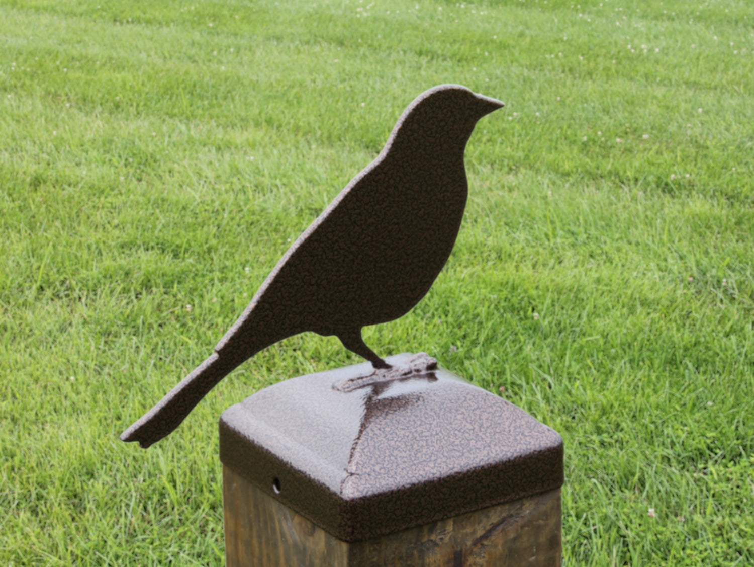 6X6 Song Bird Post Cap (Fits 5.5 x 5.5 Post Size) - Madison Iron and Wood