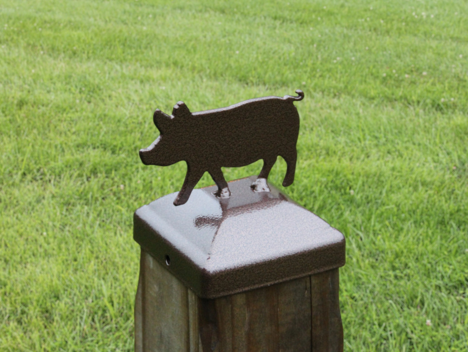 6X6 Pig Post Cap (5.5 x 5.5 Post Size) - Madison Iron and Wood
