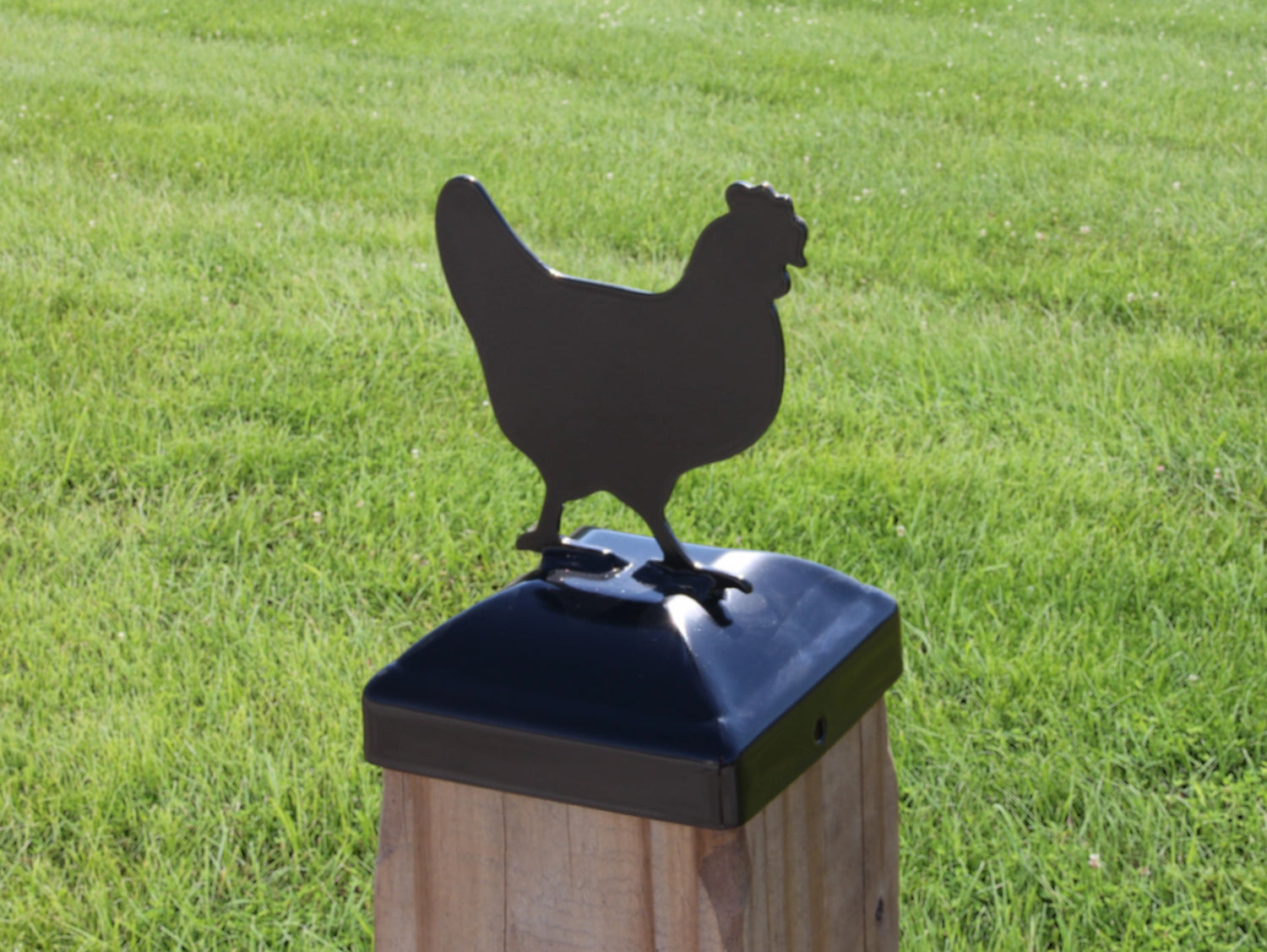 6X6 Chicken Post Cap (5.5 x 5.5 Post Size) - Madison Iron and Wood