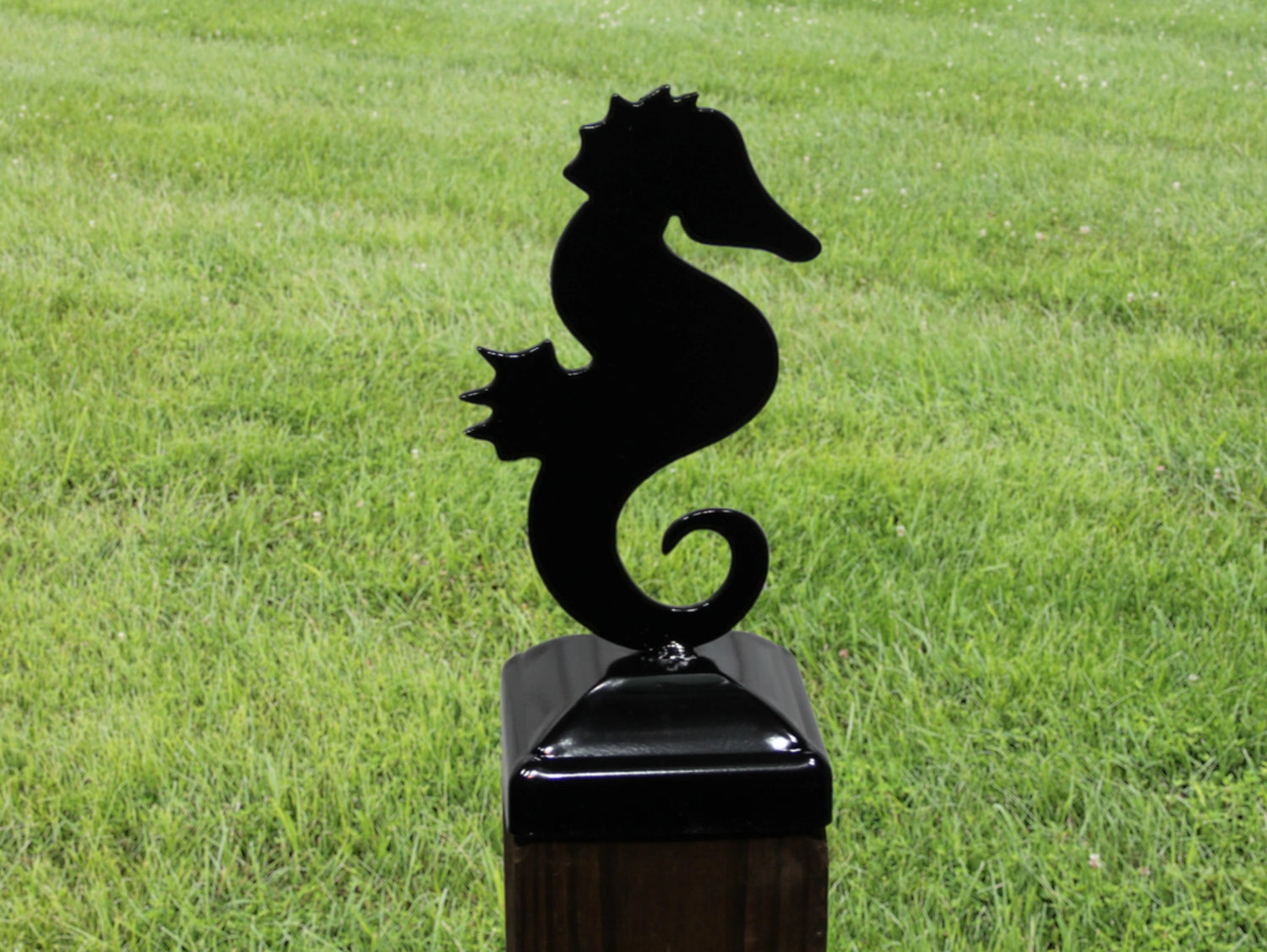 6X6 Seahorse Post Cap (5.5 x 5.5 Post Size) - Madison Iron and Wood