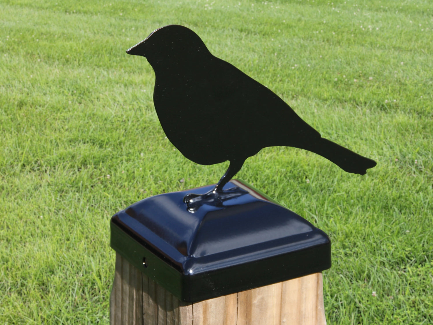 6X6 Song Bird Post Cap (Fits 5.5 x 5.5 Post Size) - Madison Iron and Wood