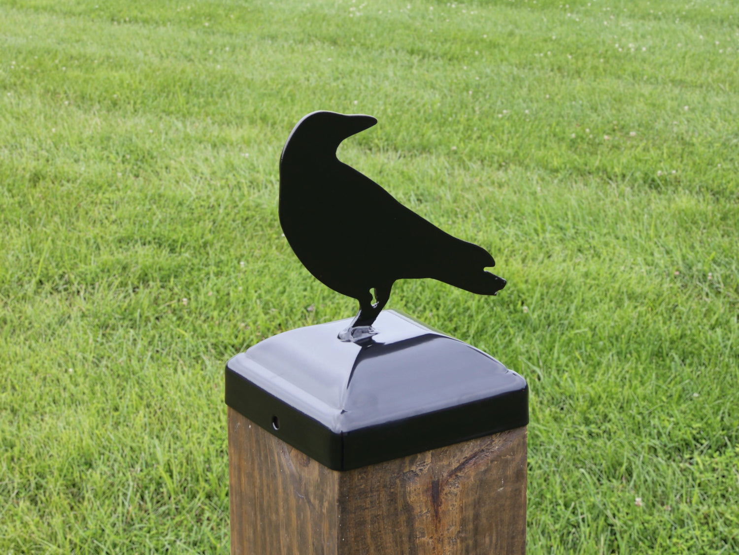 6X6 Raven Post Cap (5.5 x 5.5 Post Size) - Madison Iron and Wood
