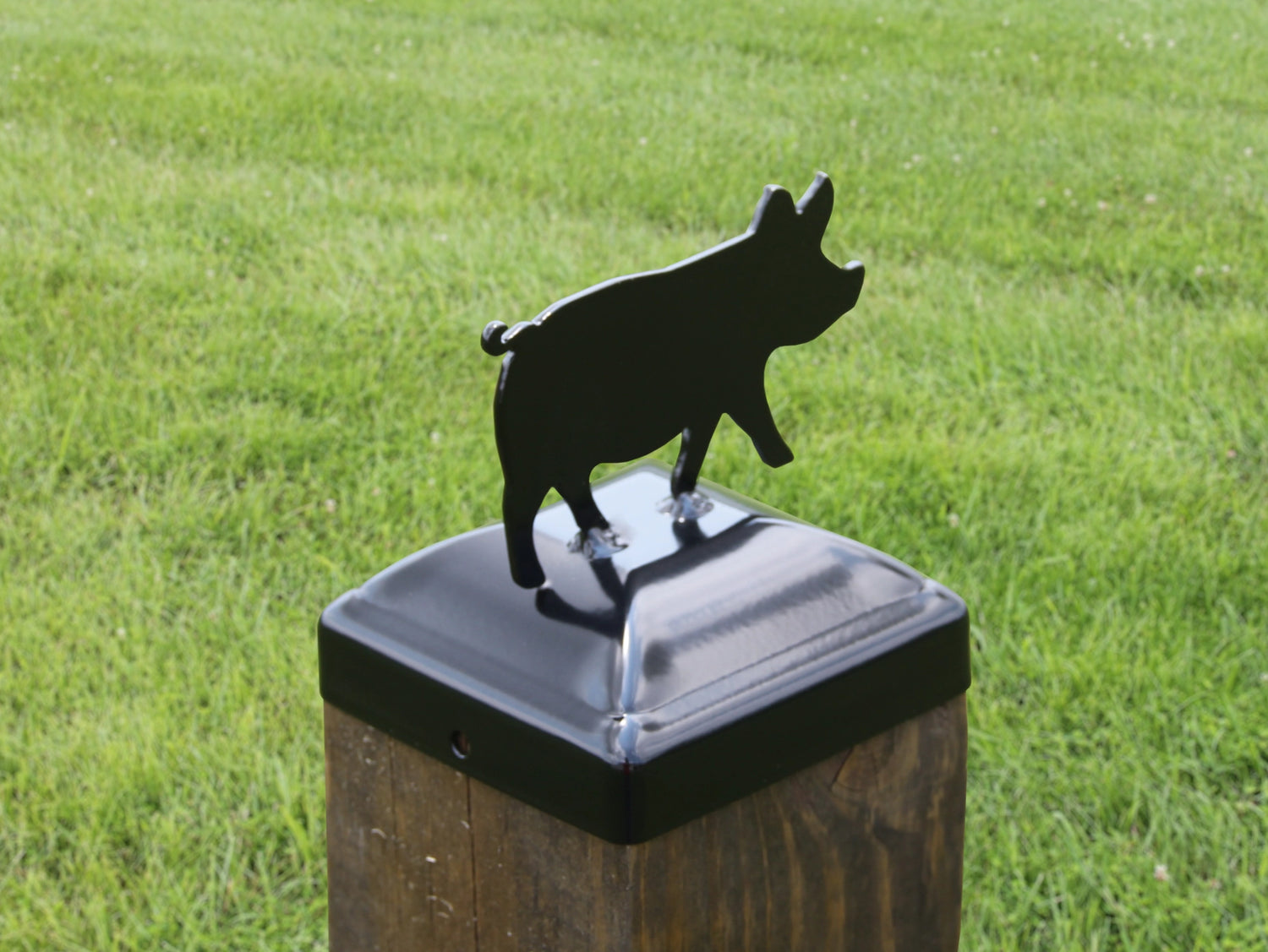 6X6 Pig Post Cap (5.5 x 5.5 Post Size) - Madison Iron and Wood