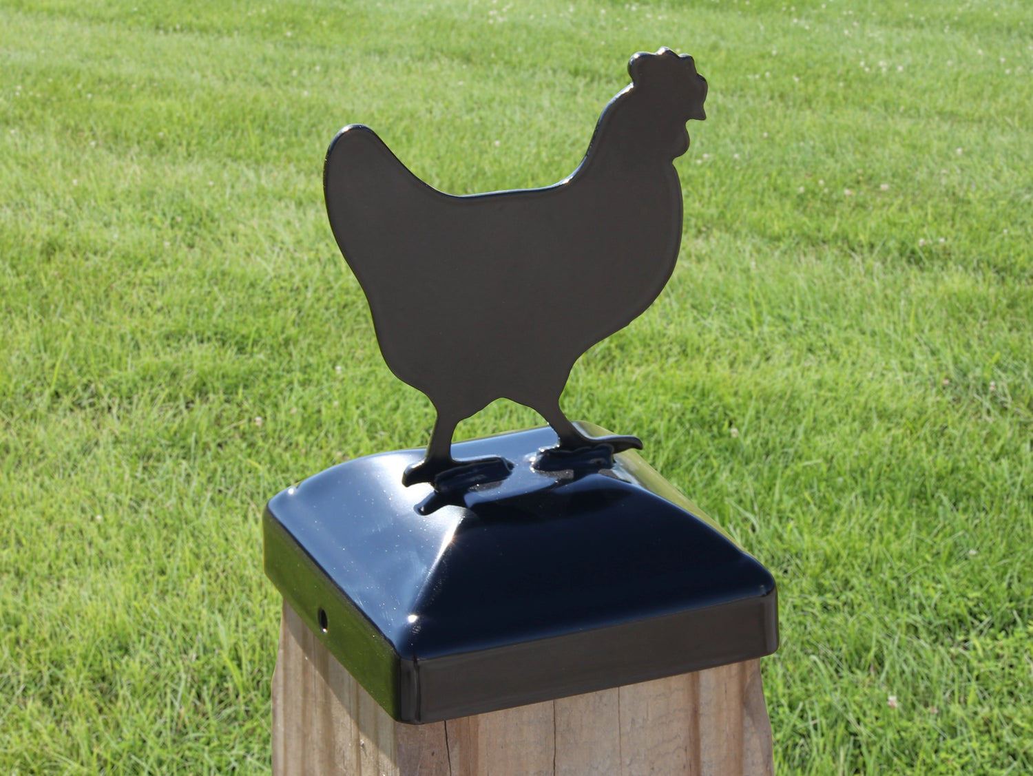 6X6 Chicken Post Cap (5.5 x 5.5 Post Size) - Madison Iron and Wood