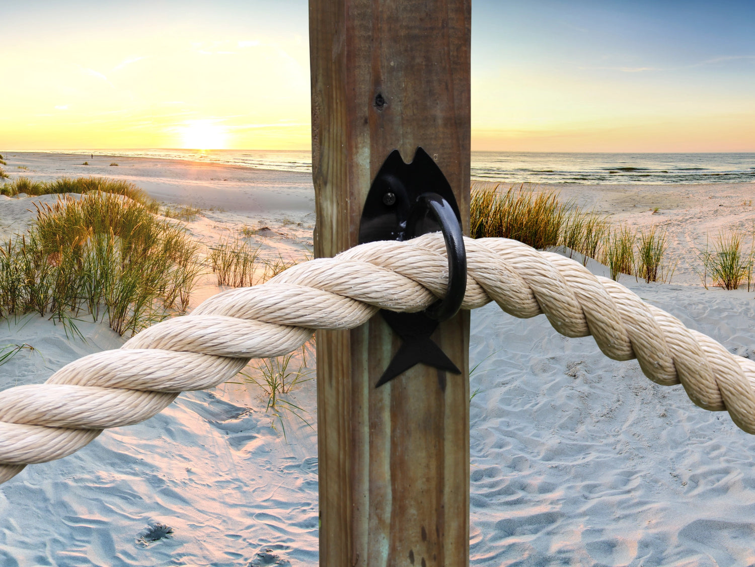 Fish Nautical Rope Ring, Light Strand Holder (3 sizes available) - Madison Iron and Wood