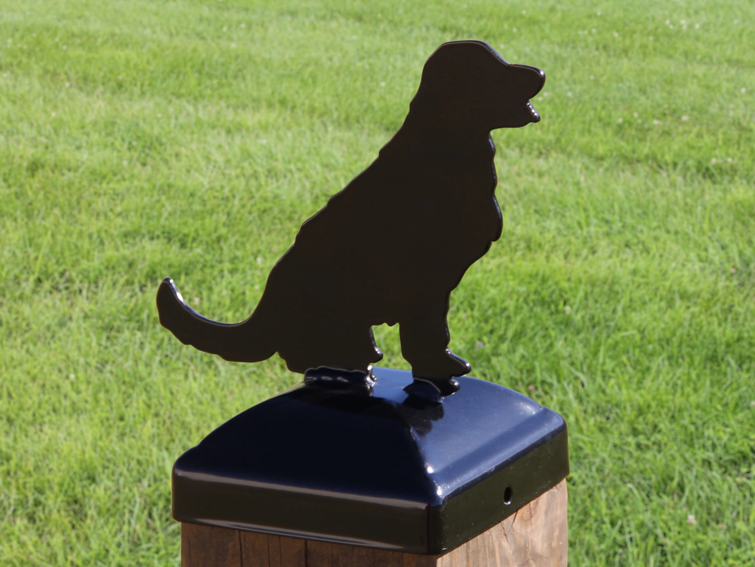 6X6 Golden Retriever Post Cap (5.5 x 5.5 Post Size) - Madison Iron and Wood
