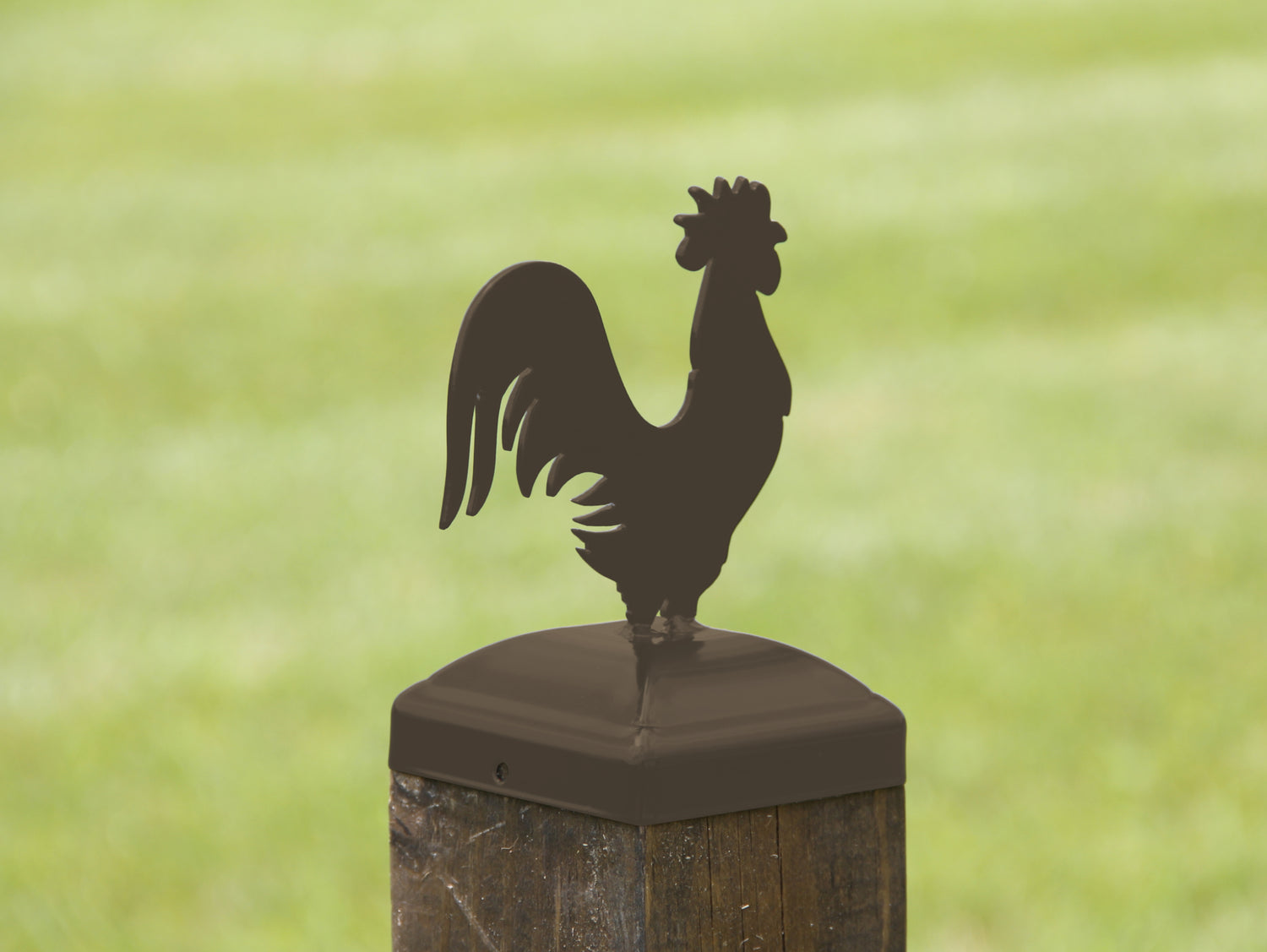 6X6 Rooster Post Cap (5.5 x 5.5 Post Size) - Madison Iron and Wood