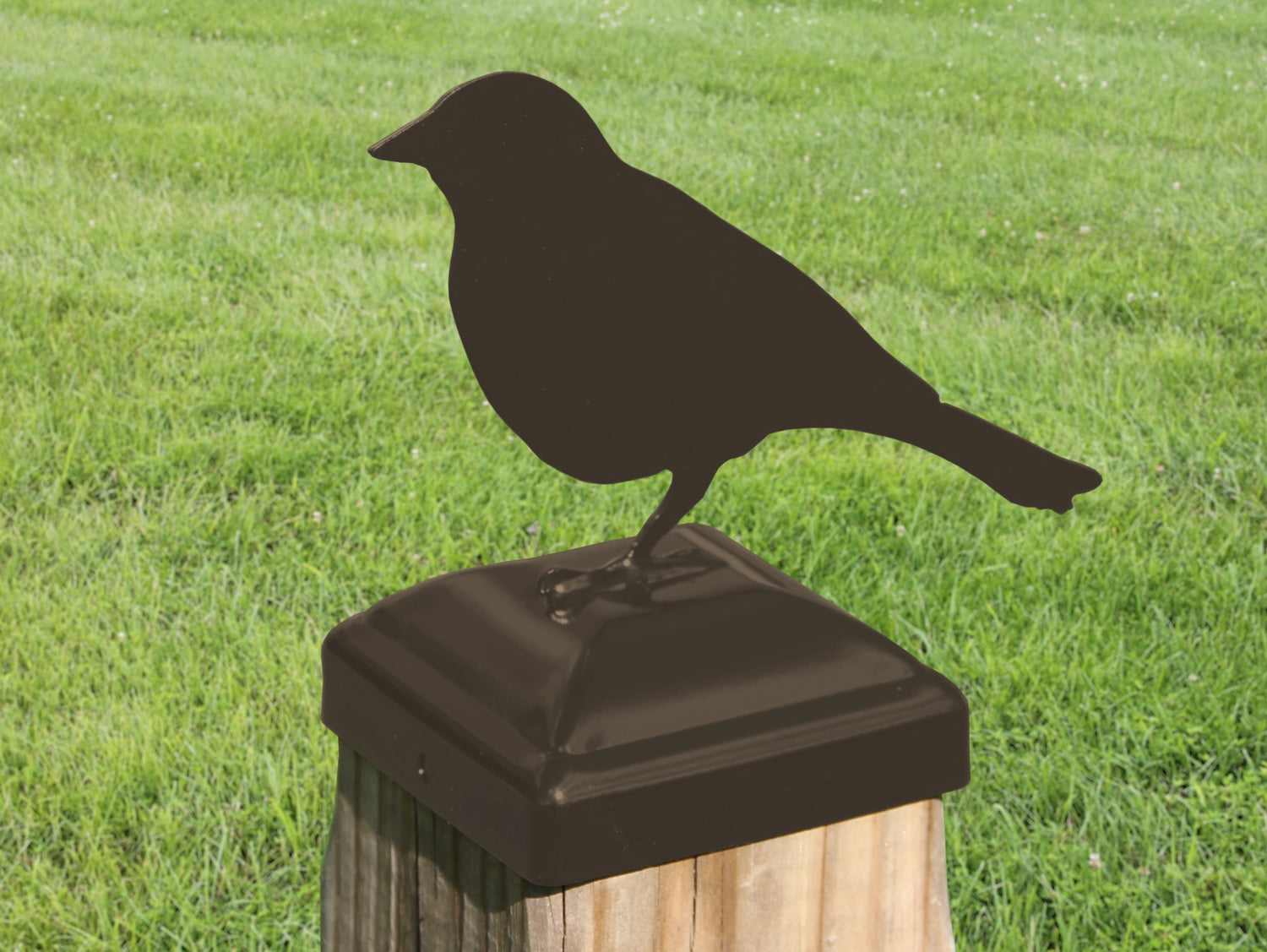 6X6 Song Bird Post Cap (Fits 5.5 x 5.5 Post Size) - Madison Iron and Wood