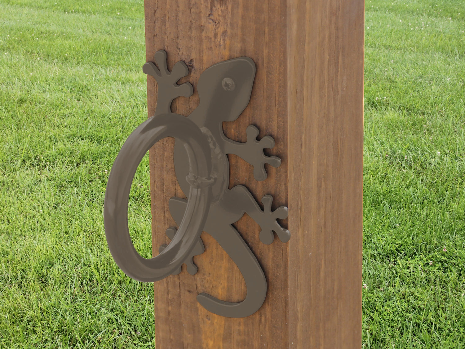Gecko Nautical Rope Ring, Light Strand Holder (3 sizes available) - Madison Iron and Wood