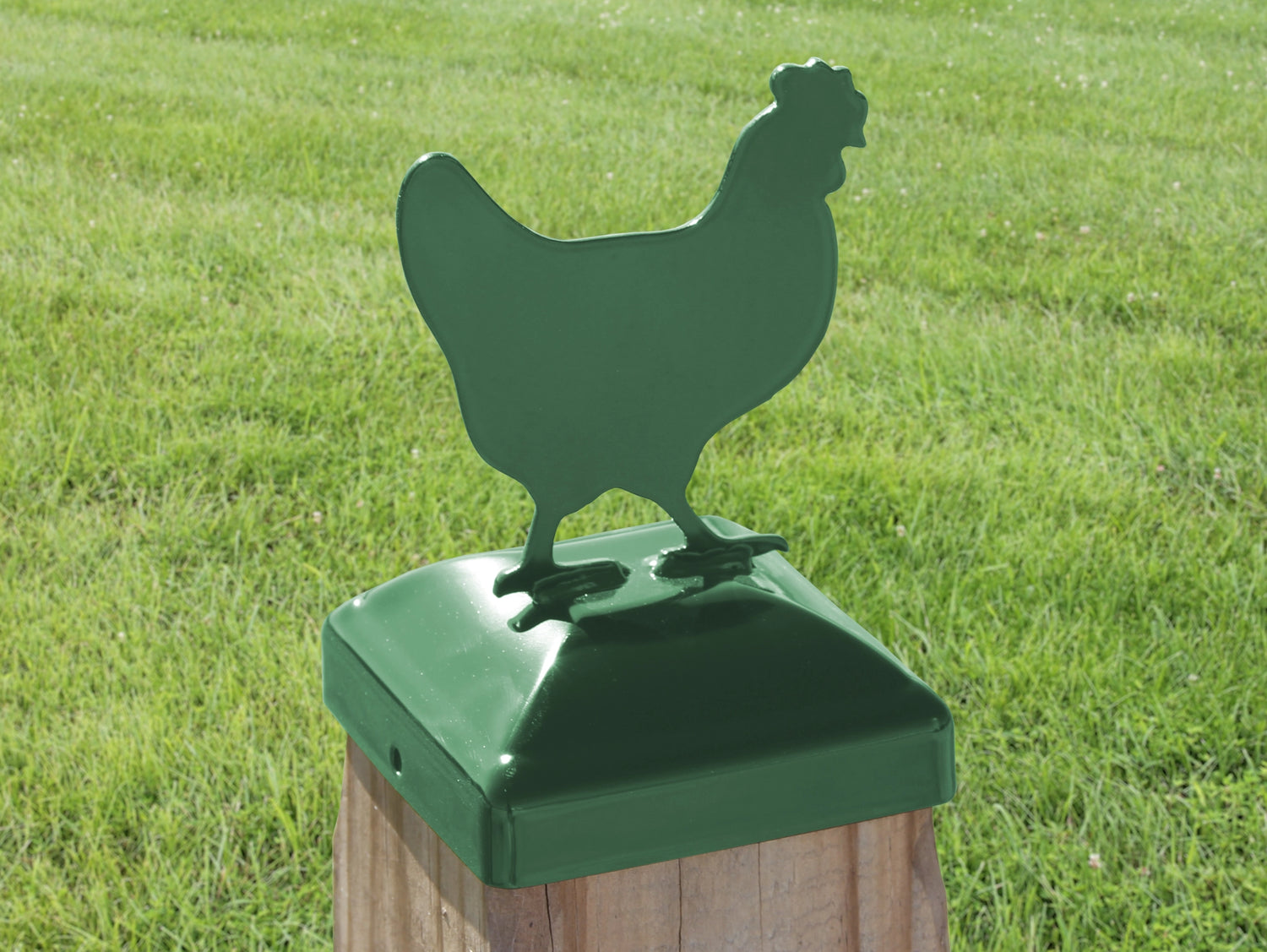 6X6 Chicken Post Cap (5.5 x 5.5 Post Size) - Madison Iron and Wood
