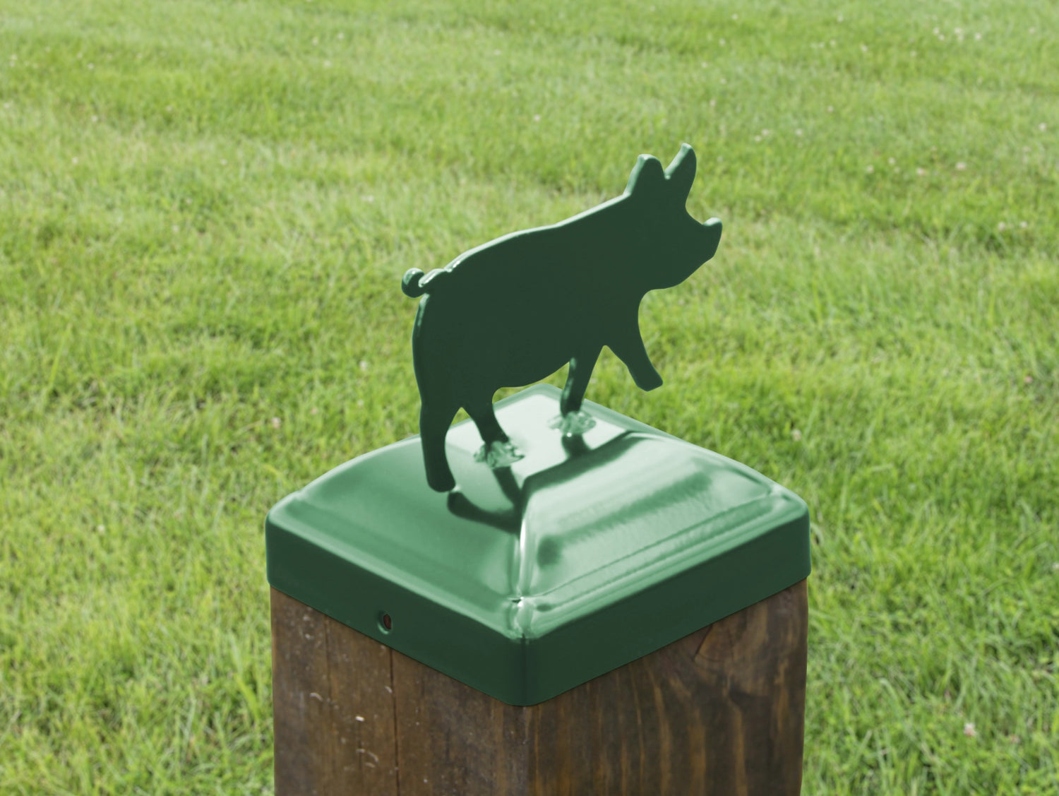 6X6 Pig Post Cap (5.5 x 5.5 Post Size) - Madison Iron and Wood