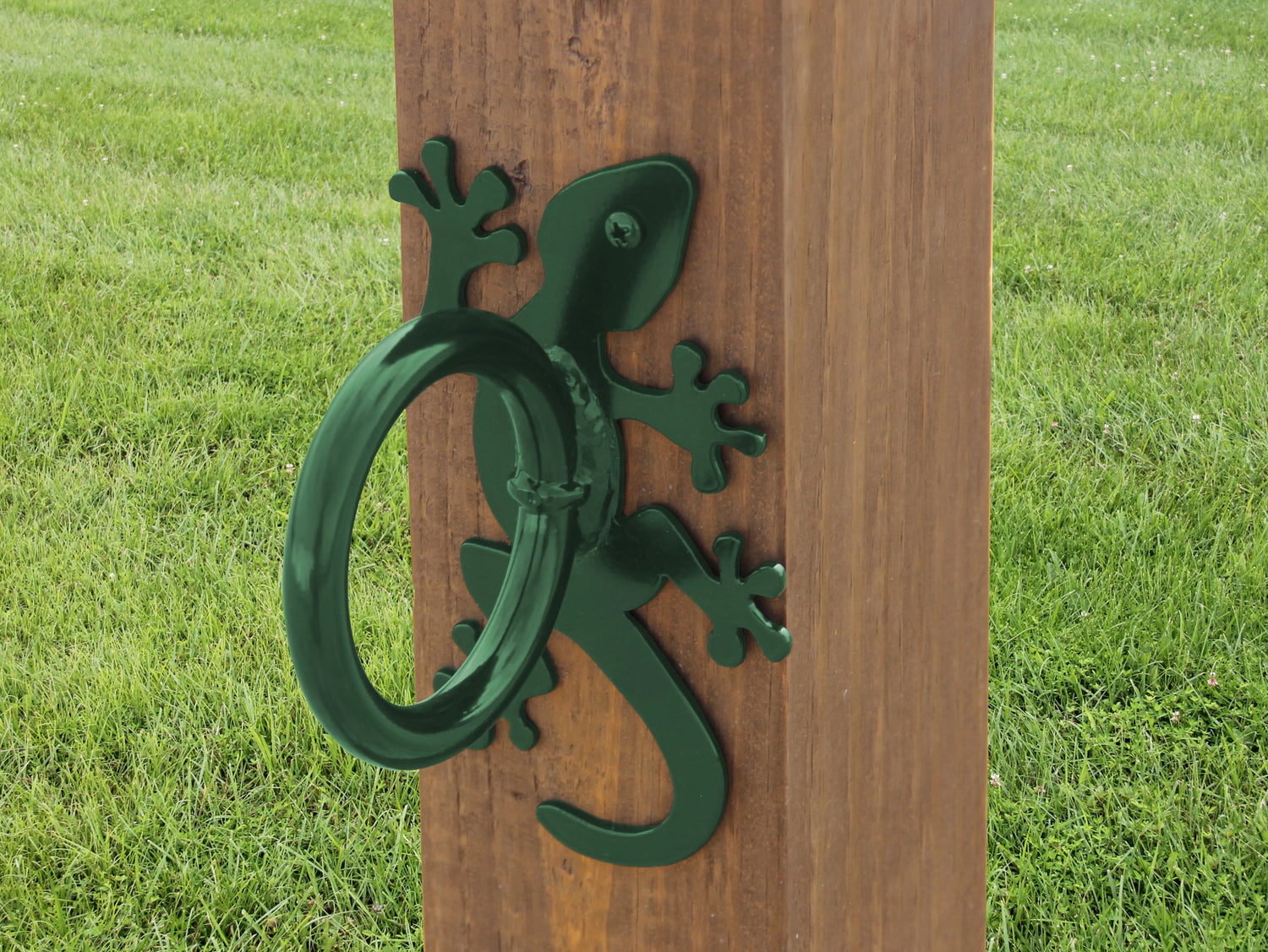 Gecko Nautical Rope Ring, Light Strand Holder (3 sizes available) - Madison Iron and Wood