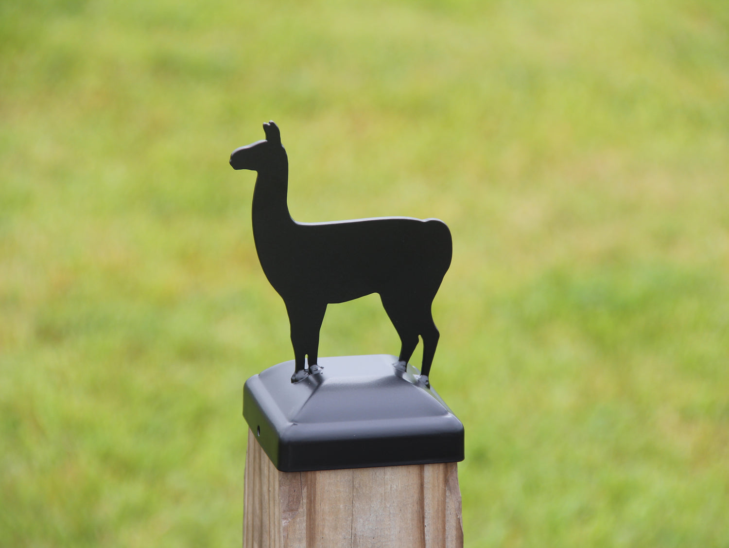 True Size 6x6 Post Cap on the Farm Finial Choice - Madison Iron and Wood