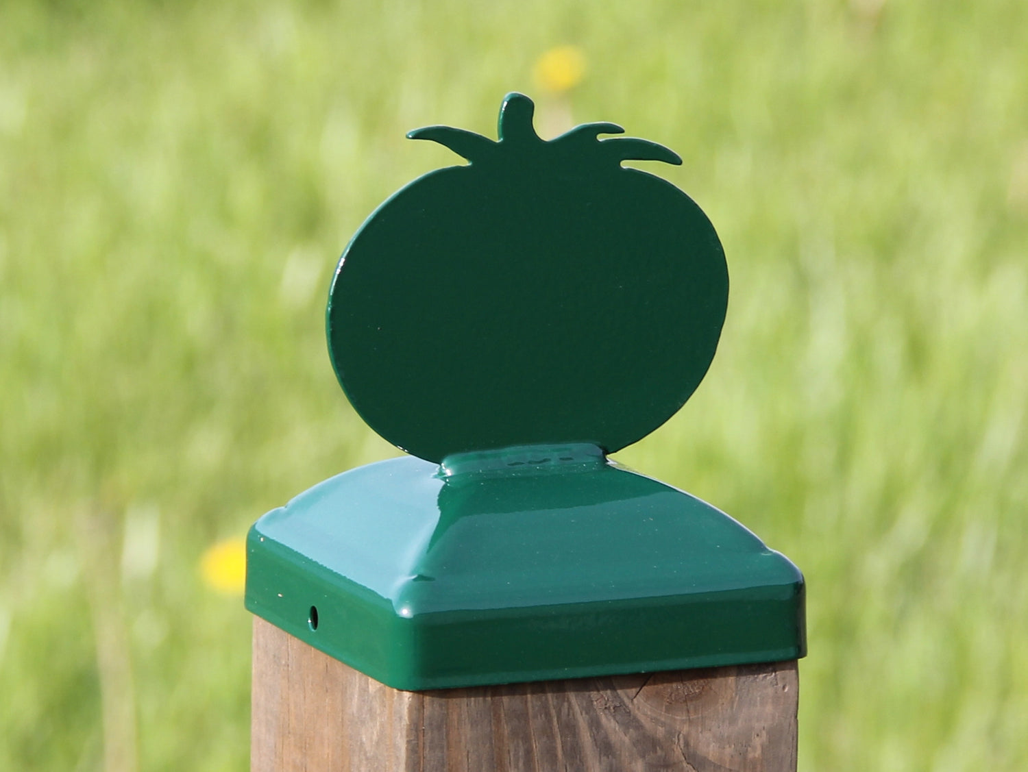 Madison Iron and wood – Metal Décor – Home Improvement – Home décor – Post Caps – Outdoor Décor