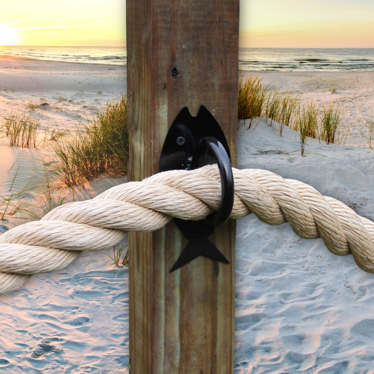 Fish Nautical Rope Ring, Light Strand Holder (3 sizes available