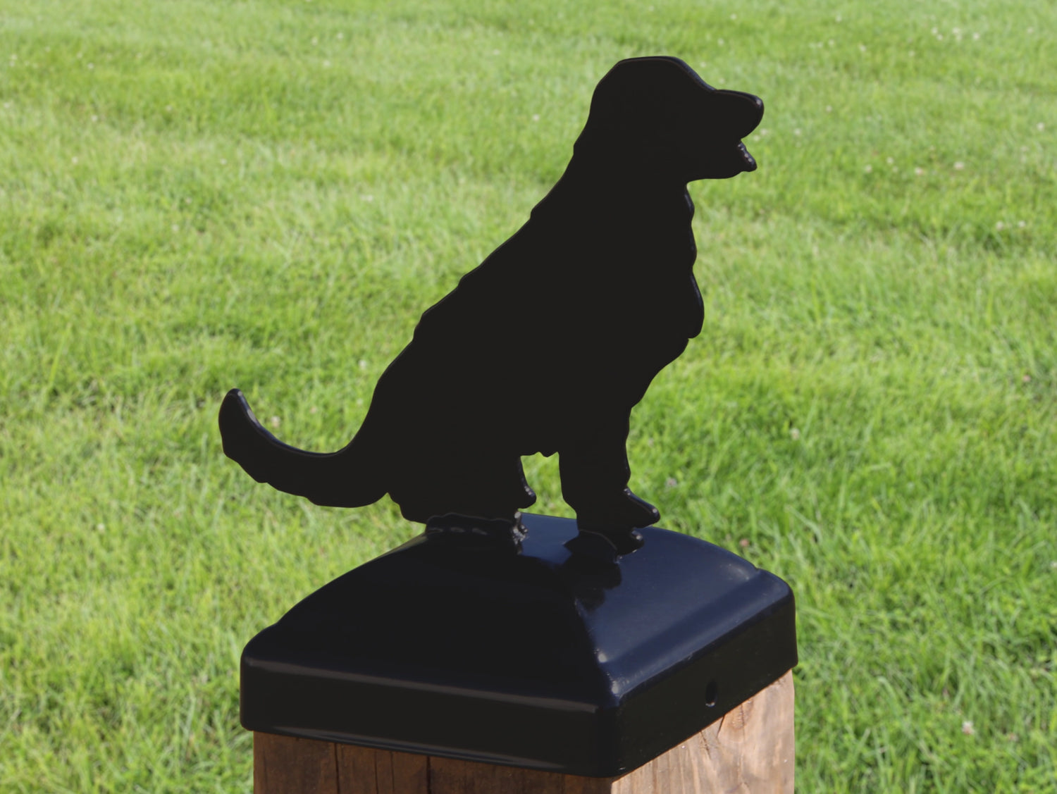 6X6 Golden Retriever Post Cap (5.5 x 5.5 Post Size) - Madison Iron and Wood