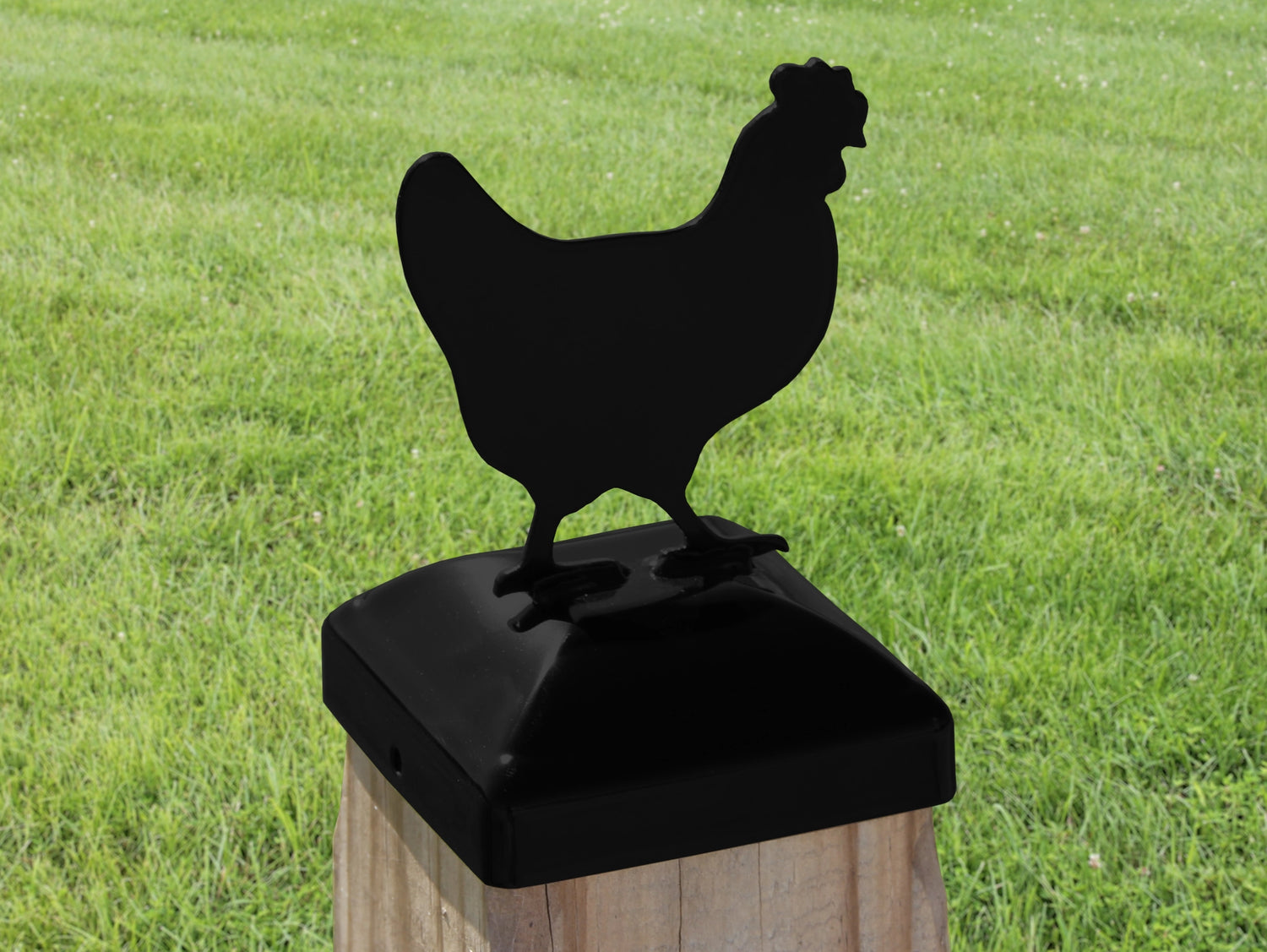 6X6 Chicken Post Cap (5.5 x 5.5 Post Size) - Madison Iron and Wood