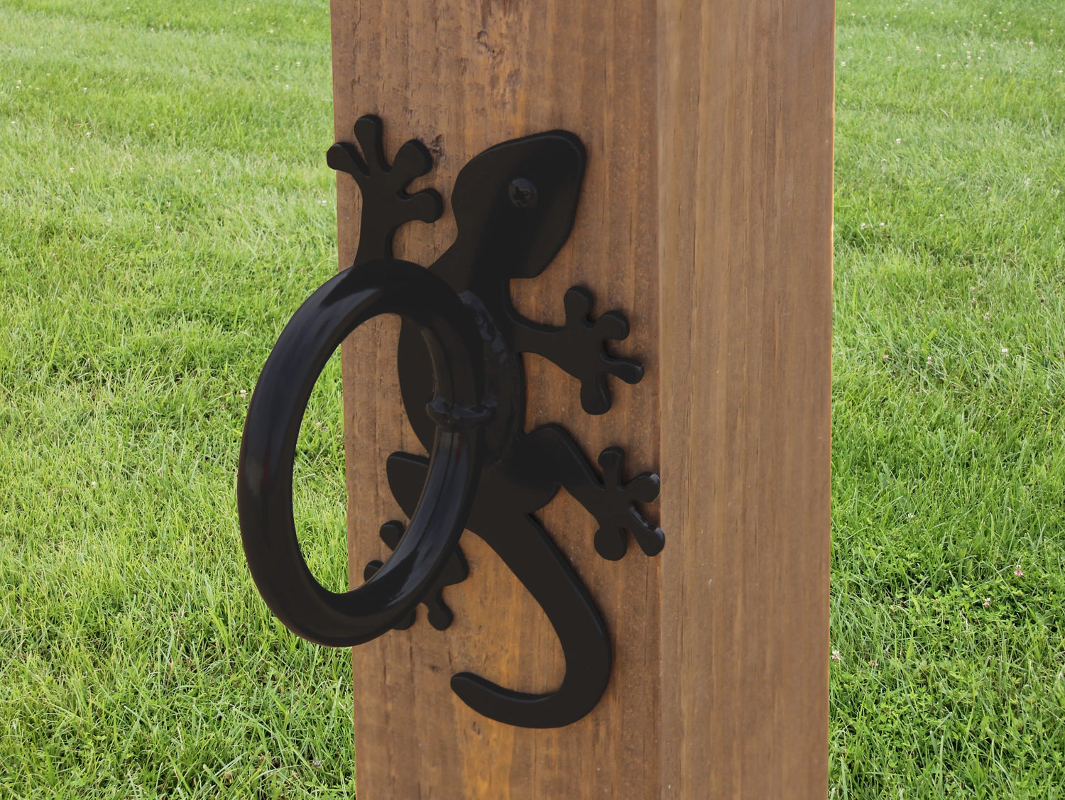 Gecko Nautical Rope Ring, Light Strand Holder (3 sizes available) - Madison Iron and Wood