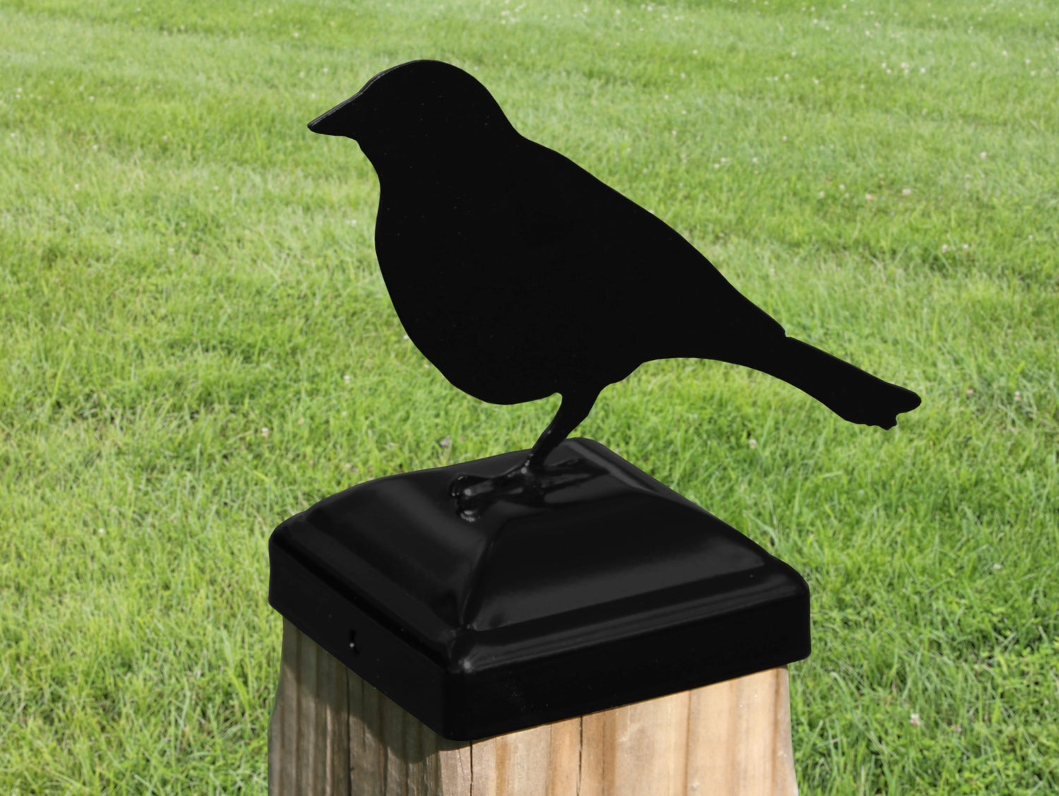 6X6 Song Bird Post Cap (Fits 5.5 x 5.5 Post Size) - Madison Iron and Wood