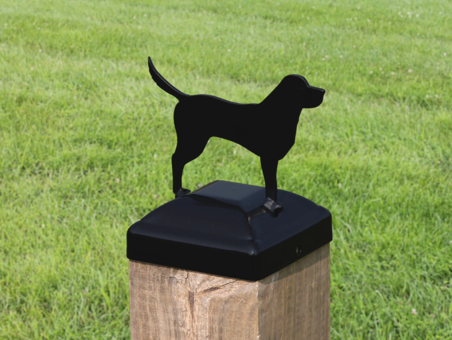 4x4 Labrador Post Cap (Fits 3.5 x 3.5 Post Size) - Madison Iron and Wood