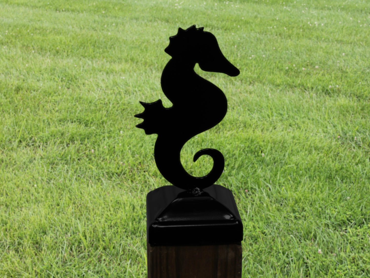 6X6 Seahorse Post Cap (5.5 x 5.5 Post Size) - Madison Iron and Wood