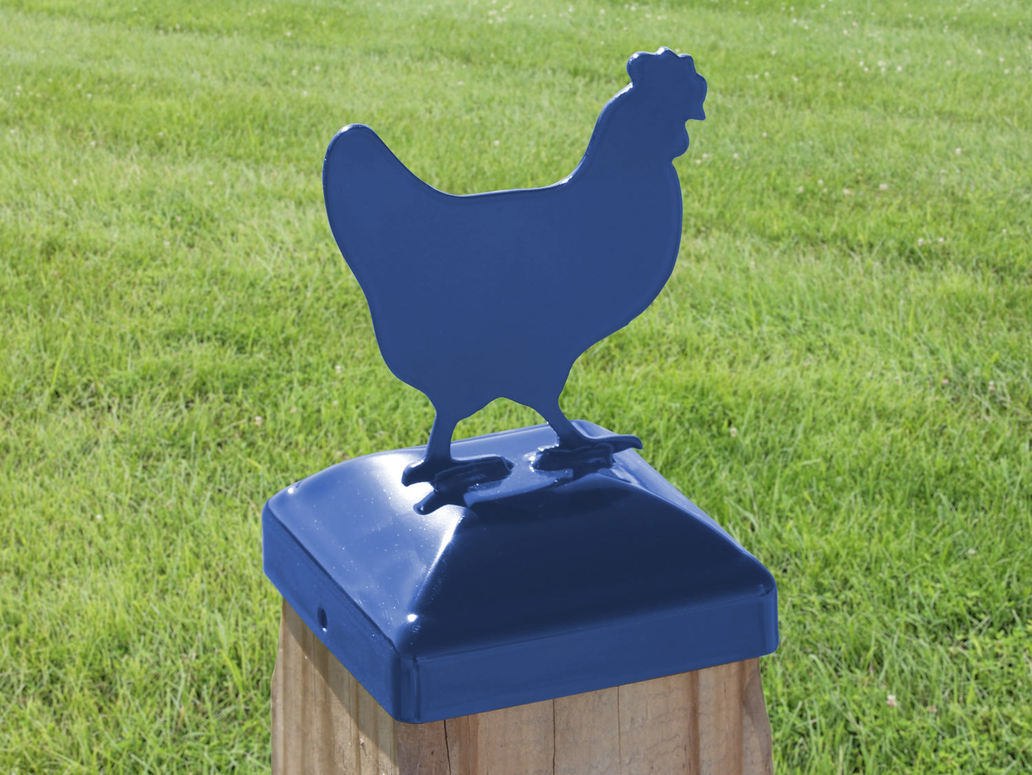6X6 Chicken Post Cap (5.5 x 5.5 Post Size) - Madison Iron and Wood