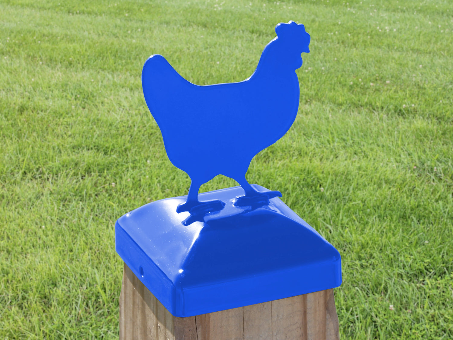 6X6 Chicken Post Cap (5.5 x 5.5 Post Size) - Madison Iron and Wood