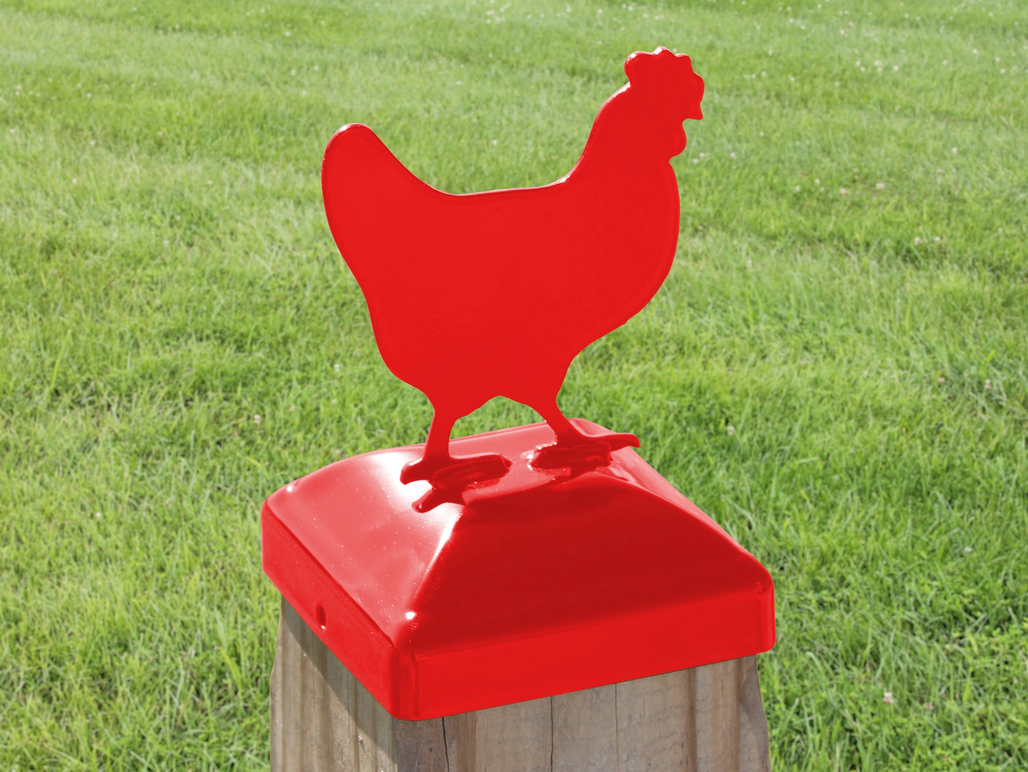 6X6 Chicken Post Cap (5.5 x 5.5 Post Size) - Madison Iron and Wood