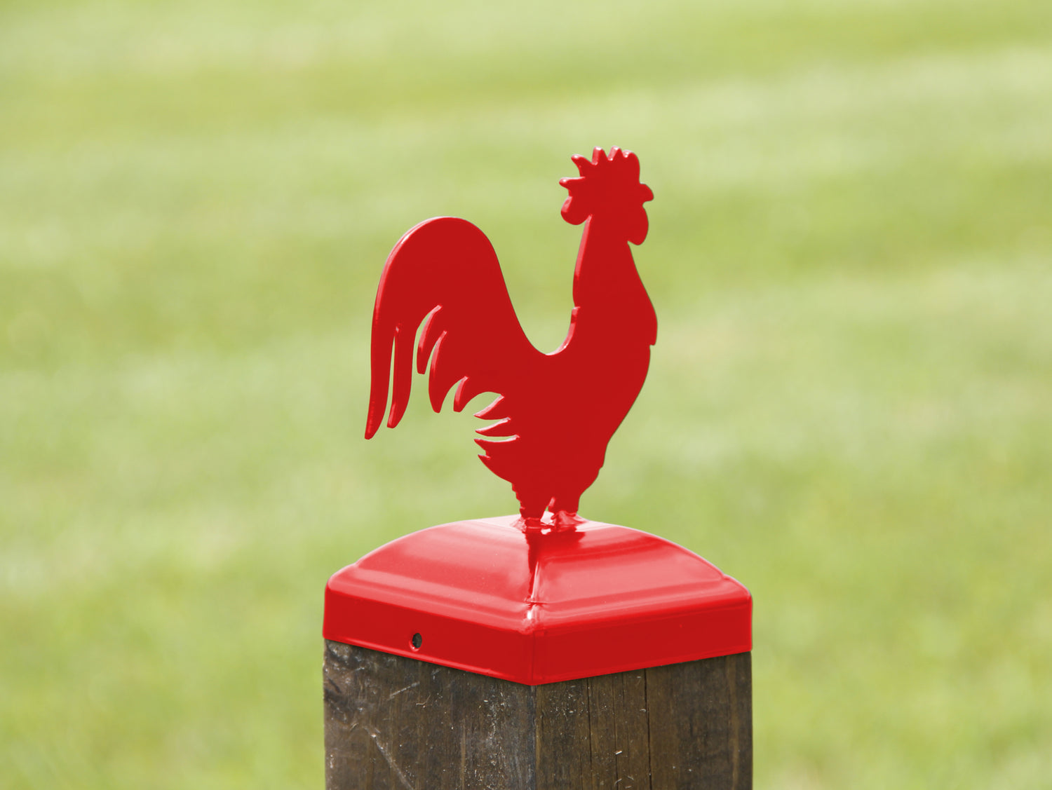 6X6 Rooster Post Cap (5.5 x 5.5 Post Size) - Madison Iron and Wood