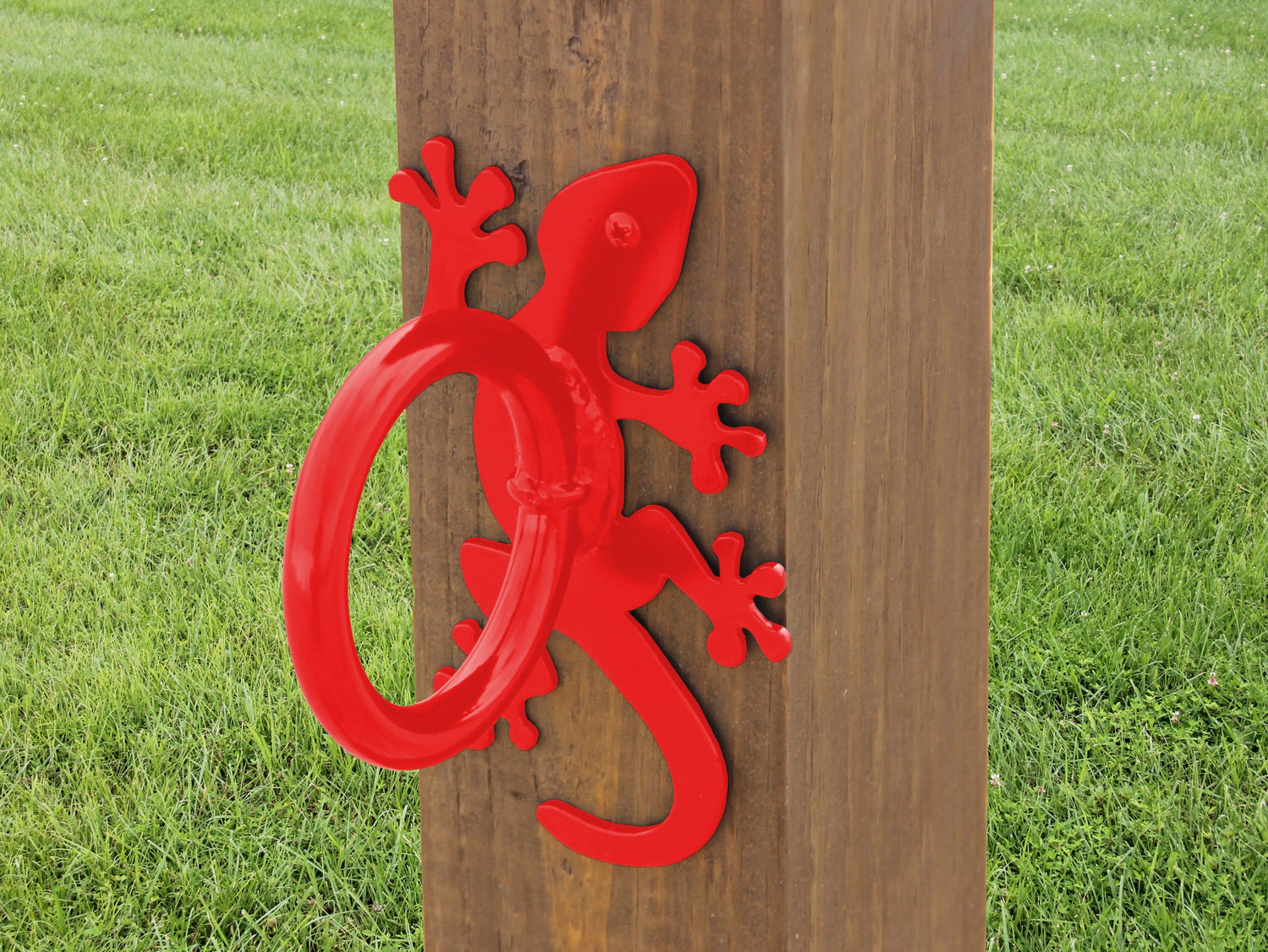 Gecko Nautical Rope Ring, Light Strand Holder (3 sizes available) - Madison Iron and Wood