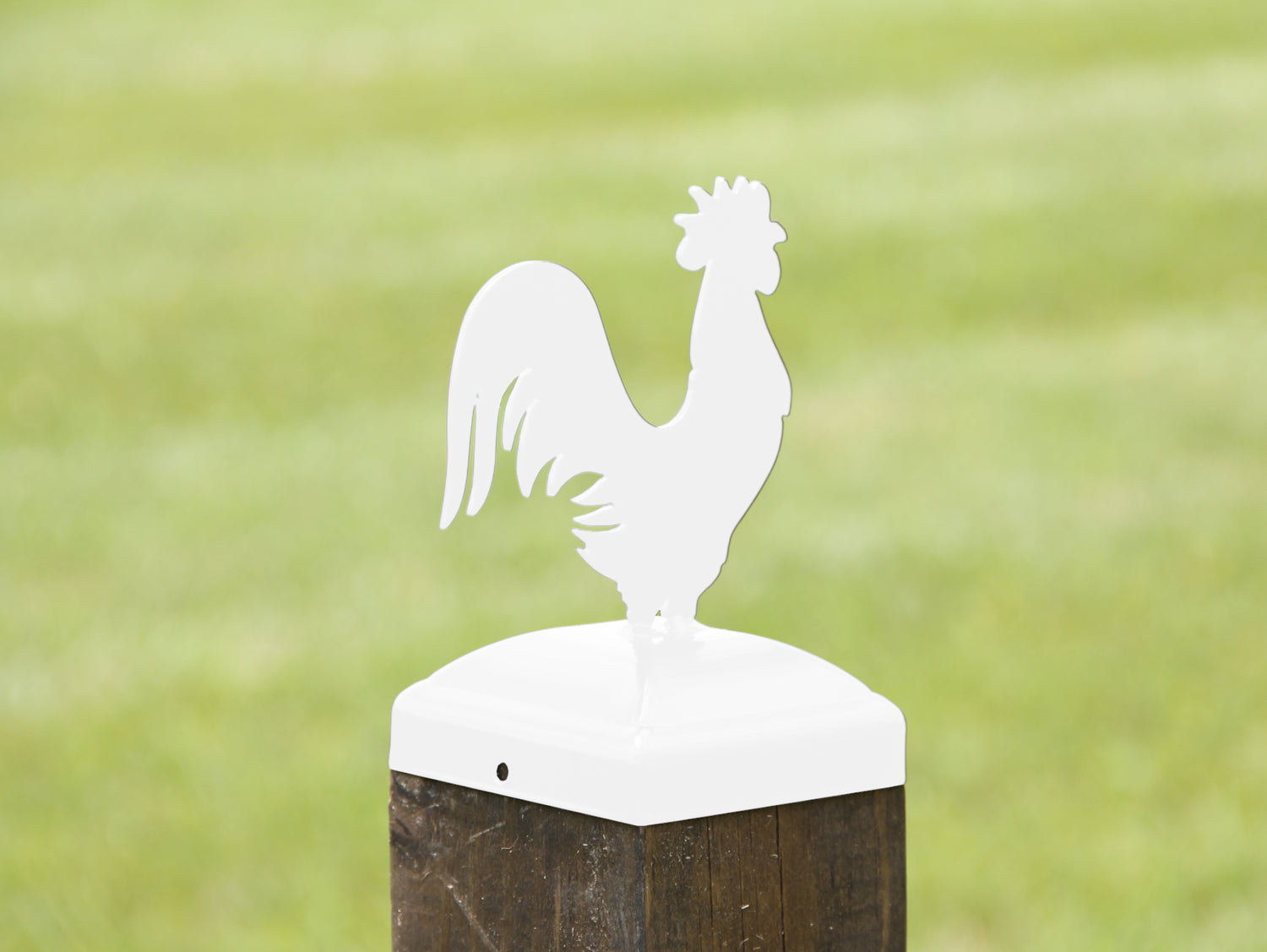 6X6 Rooster Post Cap (5.5 x 5.5 Post Size) - Madison Iron and Wood