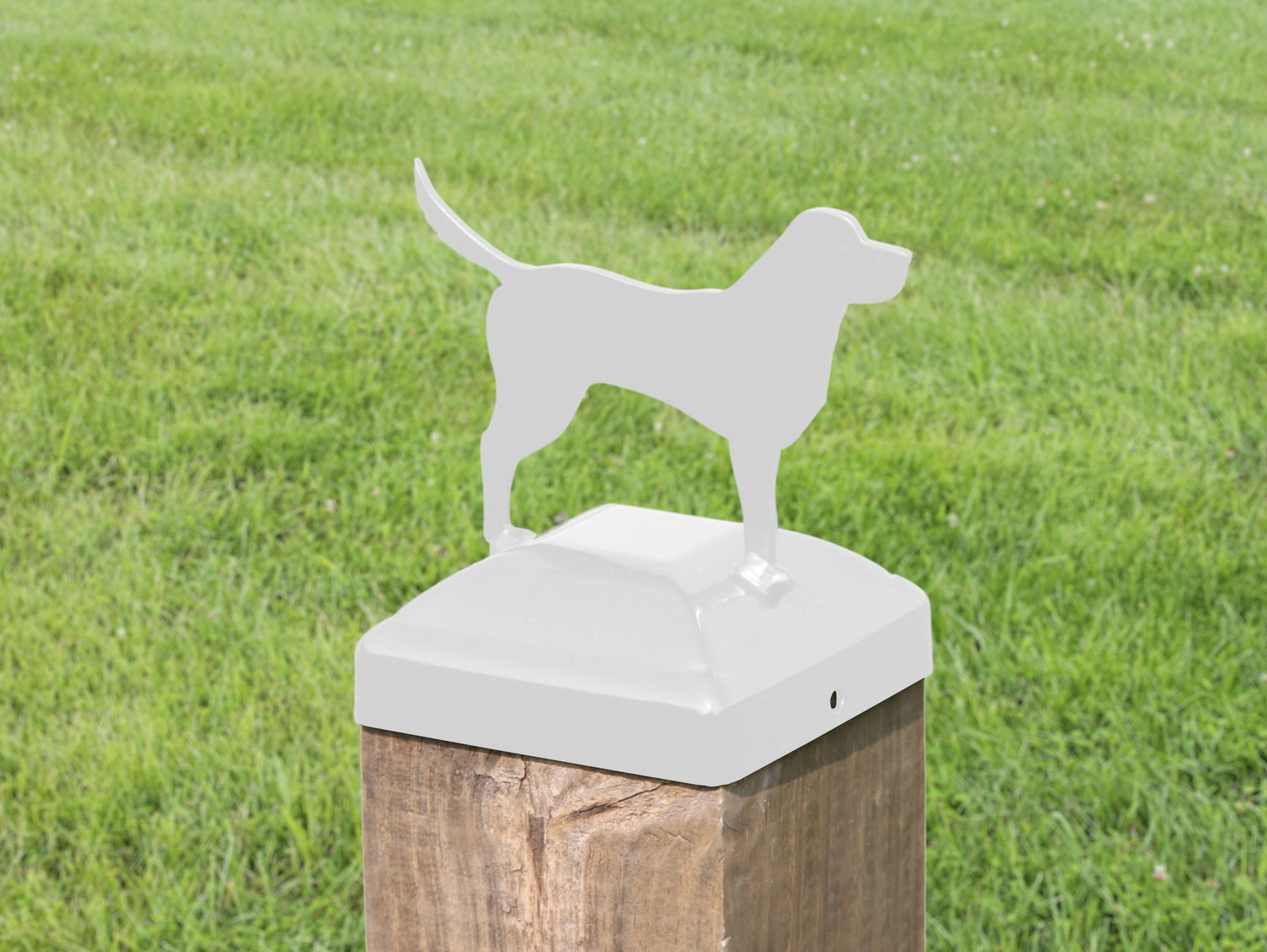 4x4 Labrador Post Cap (Fits 3.5 x 3.5 Post Size) - Madison Iron and Wood