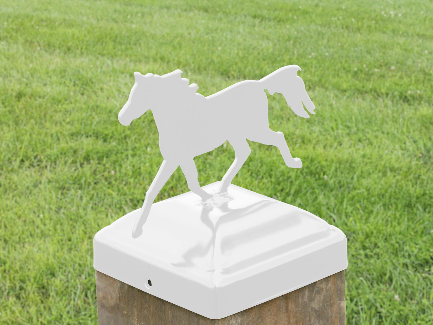 6X6 Trotting Horse Post Cap (5.5 x 5.5 Post Size) - Madison Iron and Wood