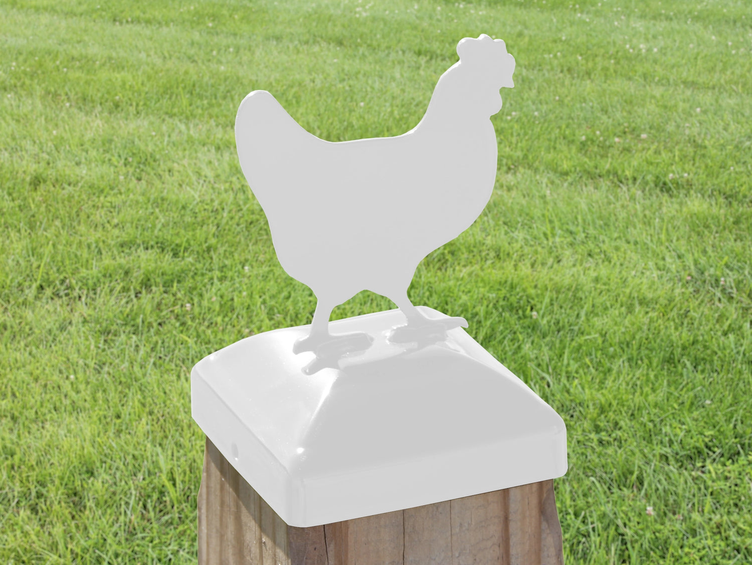 6X6 Chicken Post Cap (5.5 x 5.5 Post Size) - Madison Iron and Wood
