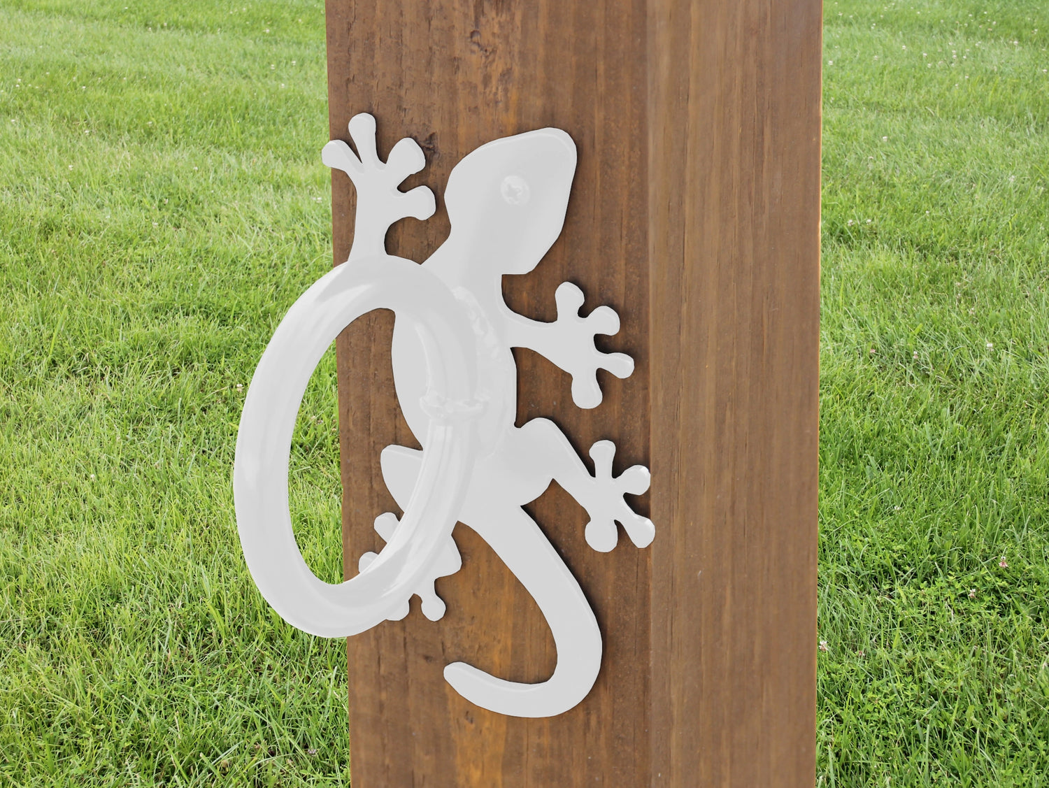 Gecko Nautical Rope Ring, Light Strand Holder (3 sizes available) - Madison Iron and Wood
