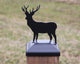 4X4 Deer Post Cap (Fits 3.5 x 3.5 Post Size)