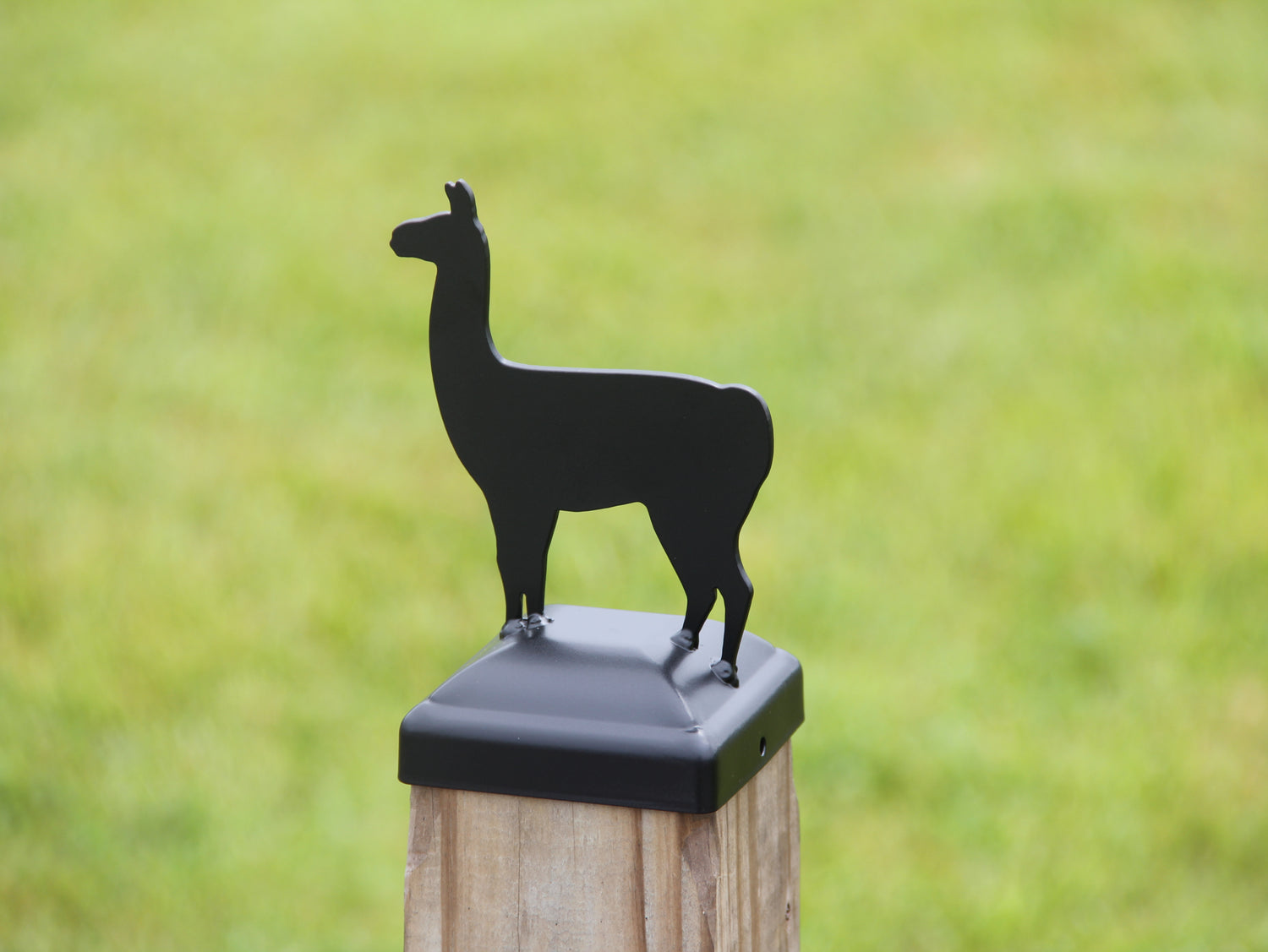 Madison Iron and wood – Metal Décor – Home Improvement – Home décor – Post Caps – Outdoor Décor