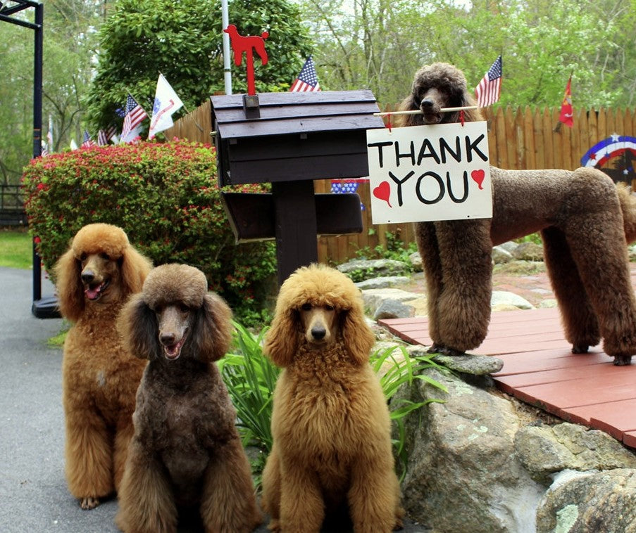 Madison Iron and wood – Metal Décor – Home Improvement – Home décor – Post Caps – Outdoor Décor