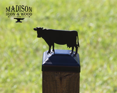 6X6 Cow Post Cap