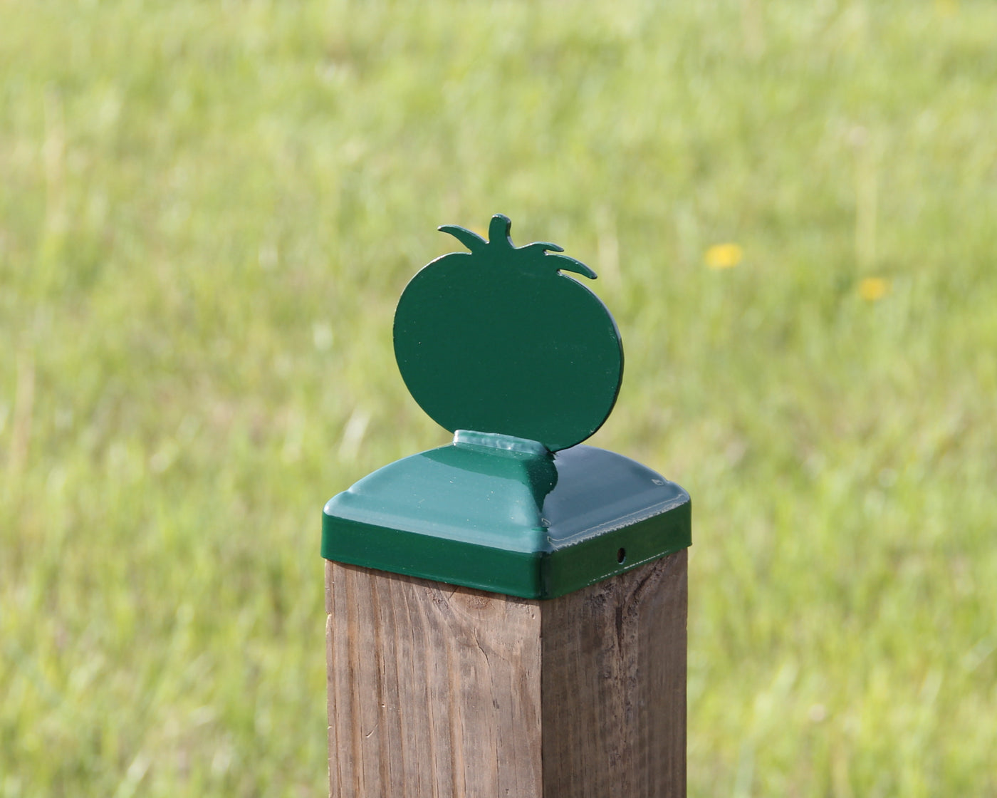 6X6 Tomato Post Cap