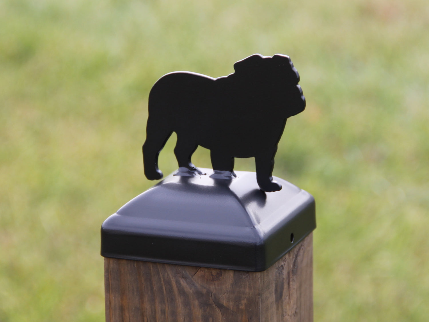 True Size 6x6 Post Cap with Dog or Cat Finial Choice - Madison Iron and Wood