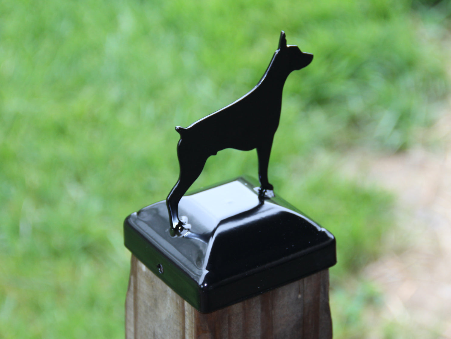 True Size 6x6 Post Cap with Dog or Cat Finial Choice - Madison Iron and Wood