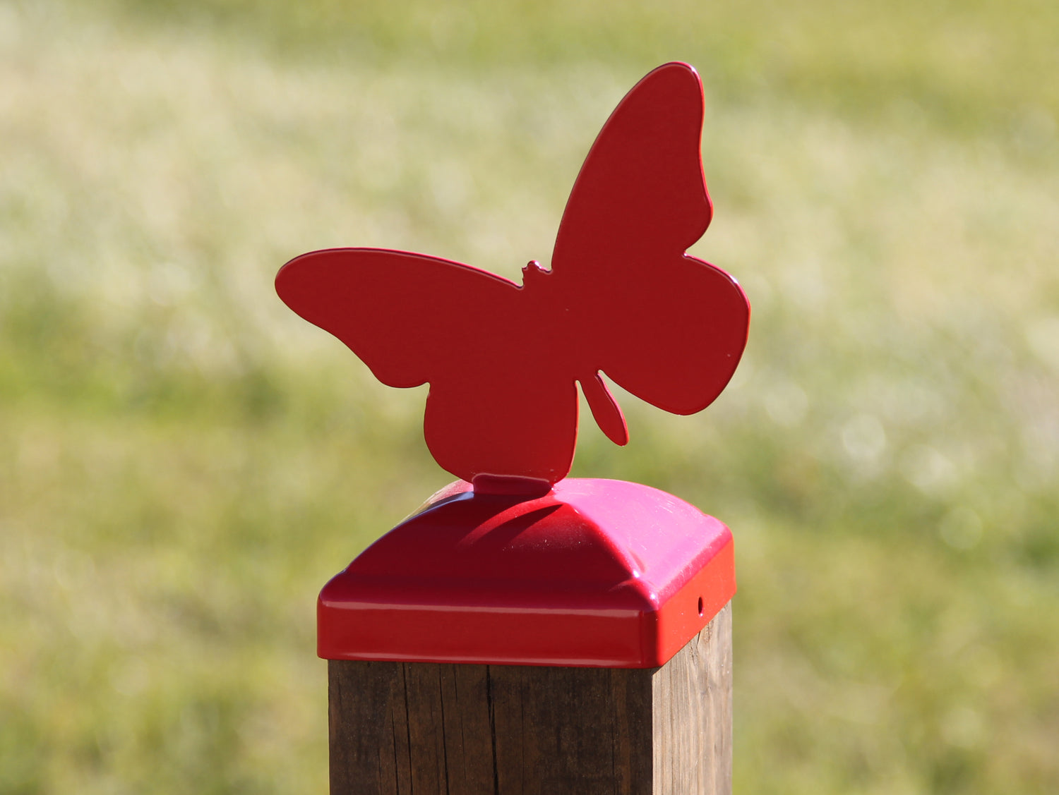 True Size 6x6 Post Cap with Plants and Insects Finial Choice - Madison Iron and Wood